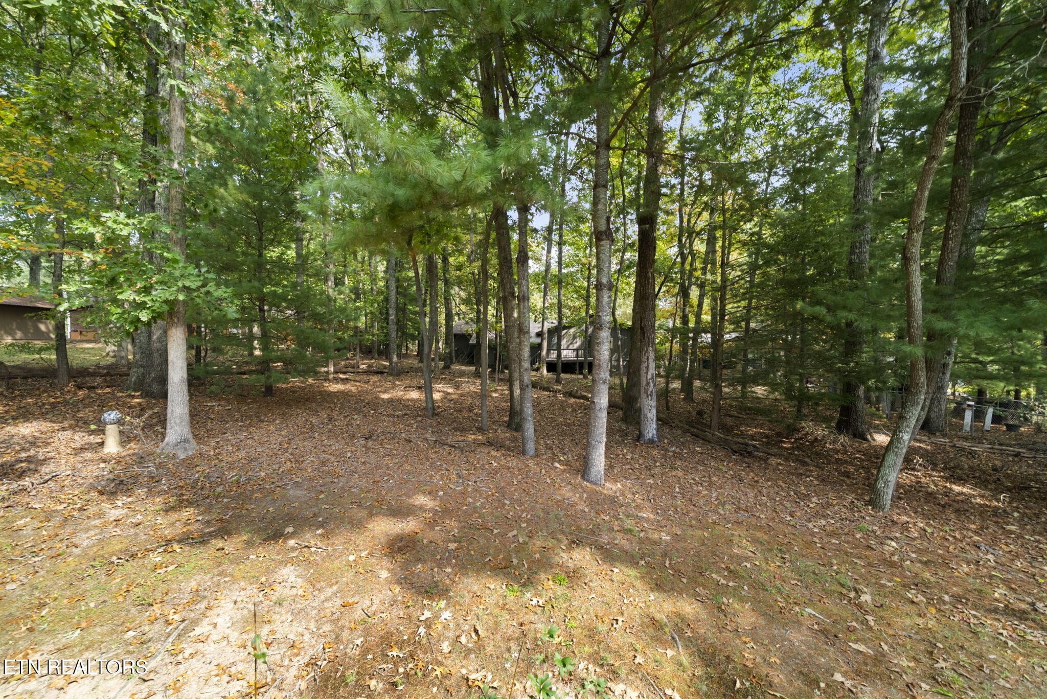 28-web-or-mls-DSC00275 - 103 Highgate Drive, Fairfield Glade, TN 38558