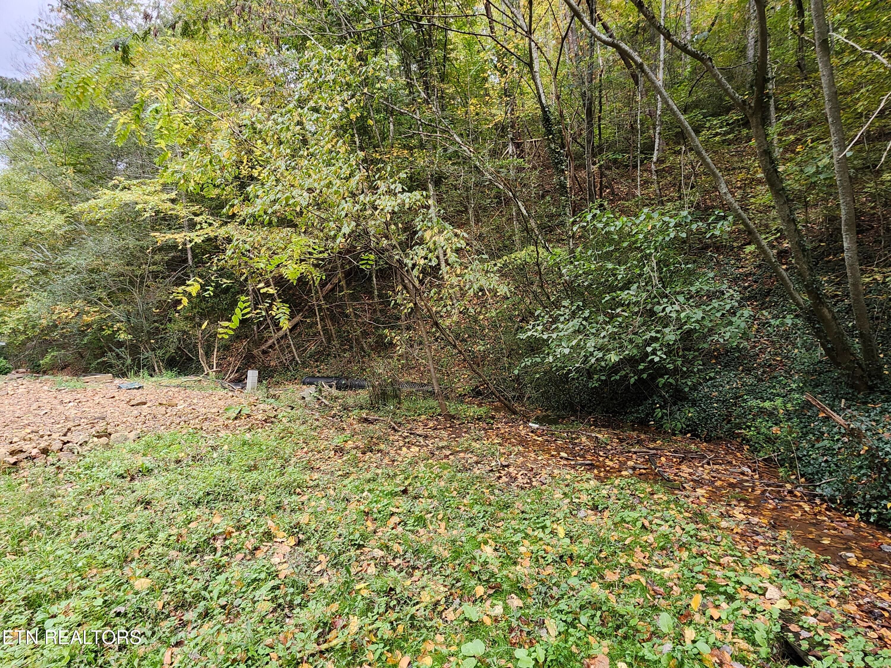 20261017_144446 - 4121 S Boogertown Rd, Pigeon Forge, TN 37876