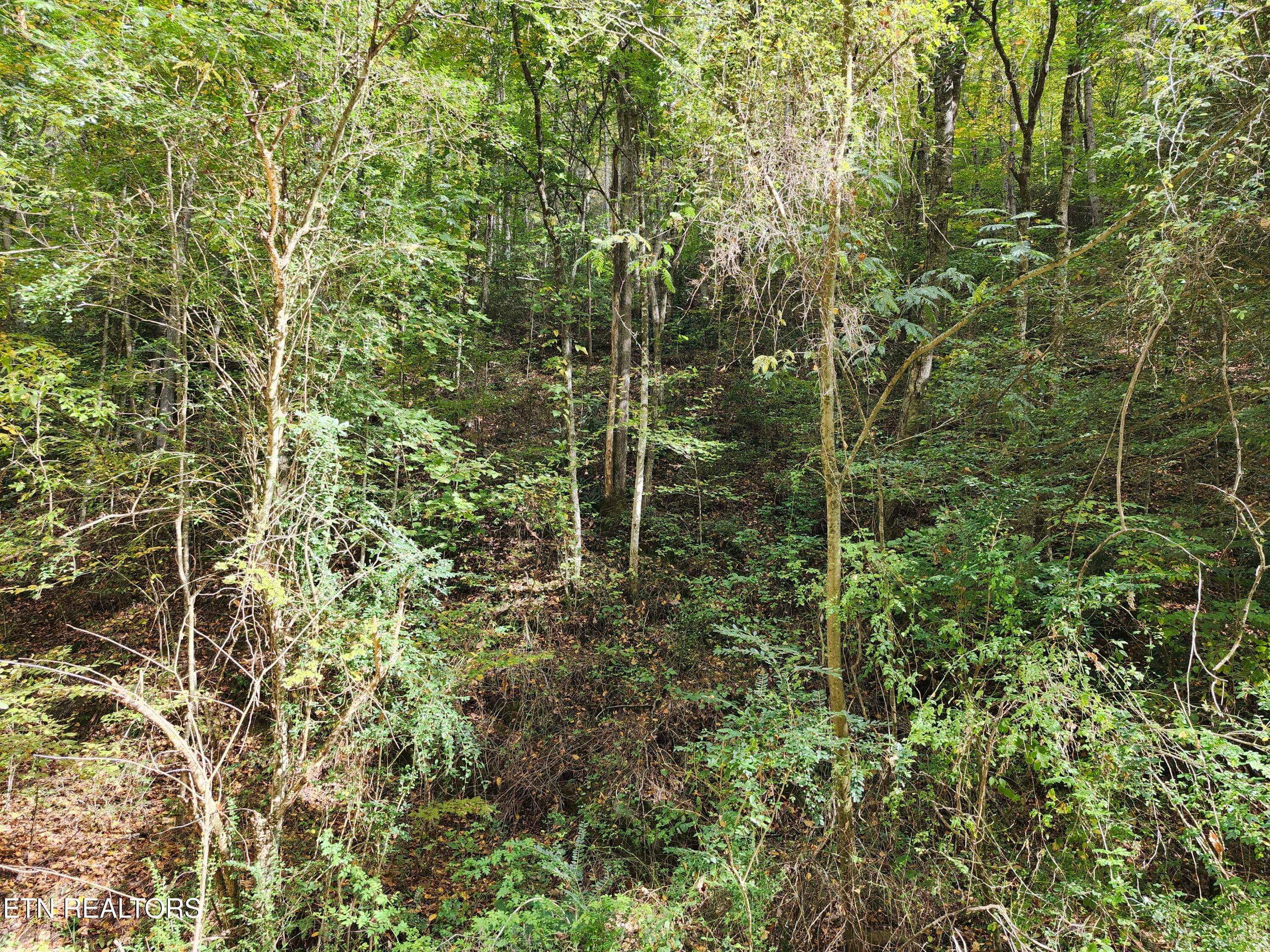 20261017_144021 - 4121 S Boogertown Rd, Pigeon Forge, TN 37876