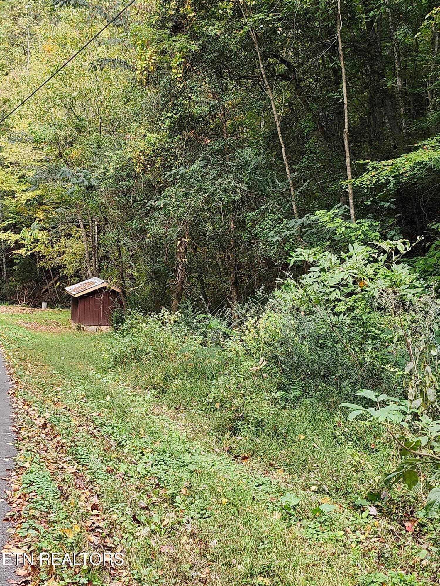 20261017_144151 - 4121 S Boogertown Rd, Pigeon Forge, TN 37876