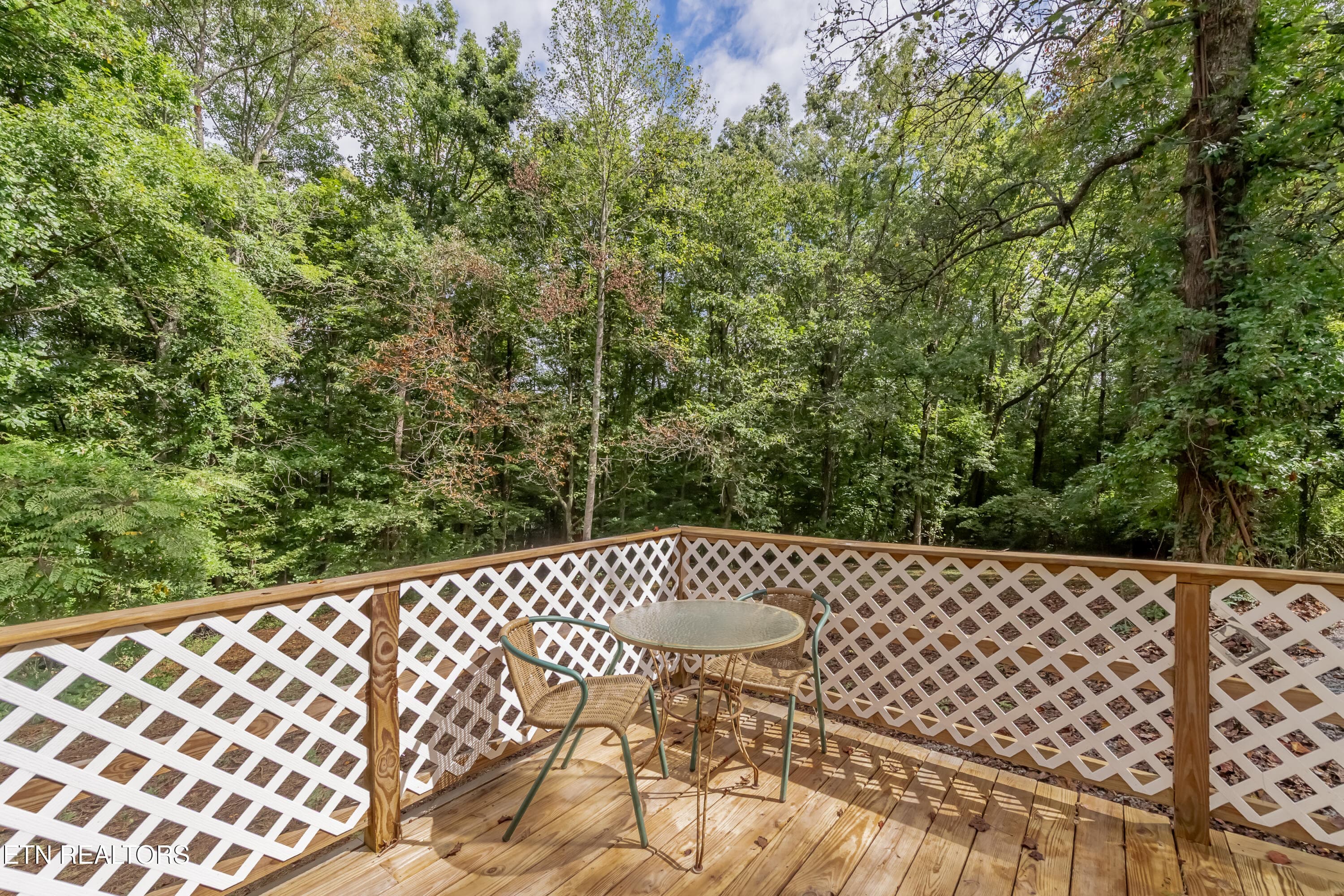 HOB_4911 - 220 Oak Rd, Norris, TN 37828