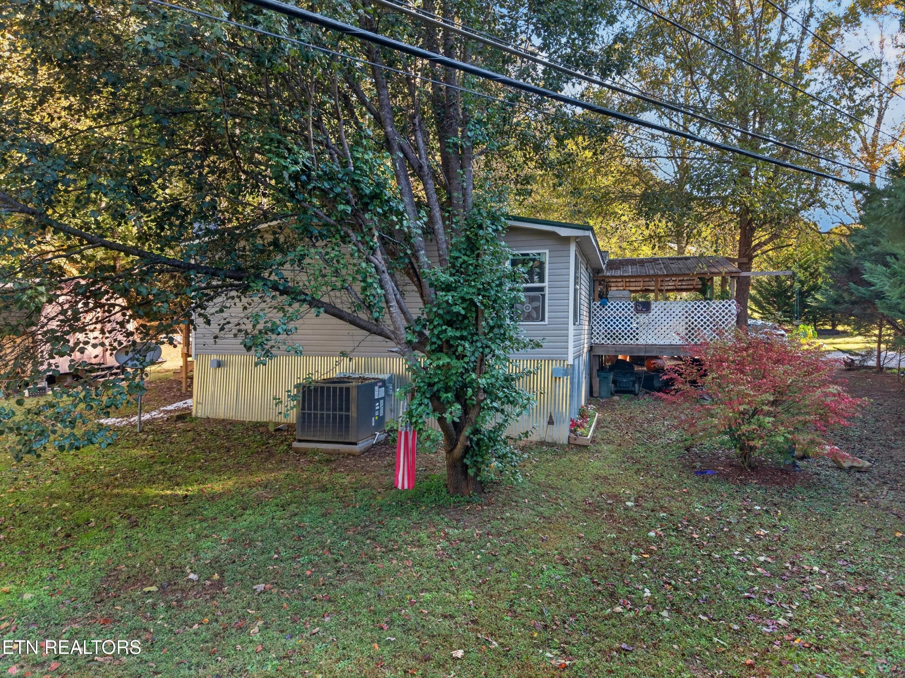 003-4221LindseyGapRoad-Cosby-TN-37722-SM - 4221 Lindsey Gap Rd, Cosby, TN 37722