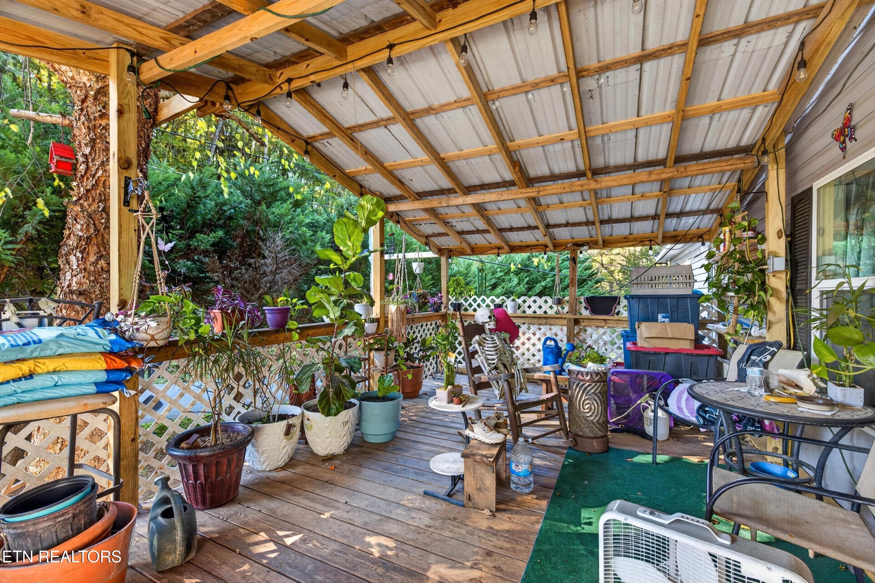 025-4221LindseyGapRoad-Cosby-TN-37722-SM - 4221 Lindsey Gap Rd, Cosby, TN 37722