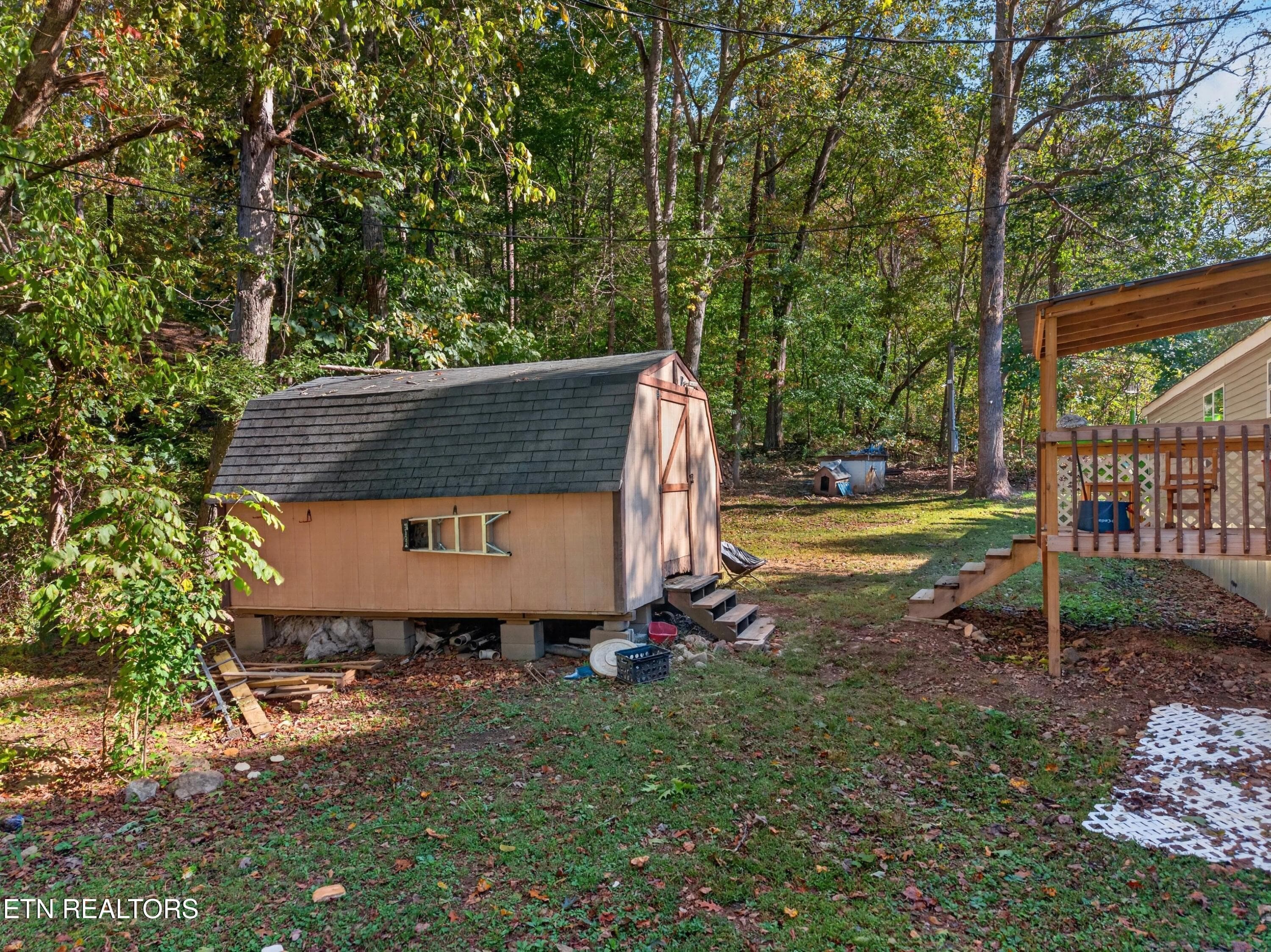 028-4221LindseyGapRoad-Cosby-TN-37722-SM - 4221 Lindsey Gap Rd, Cosby, TN 37722
