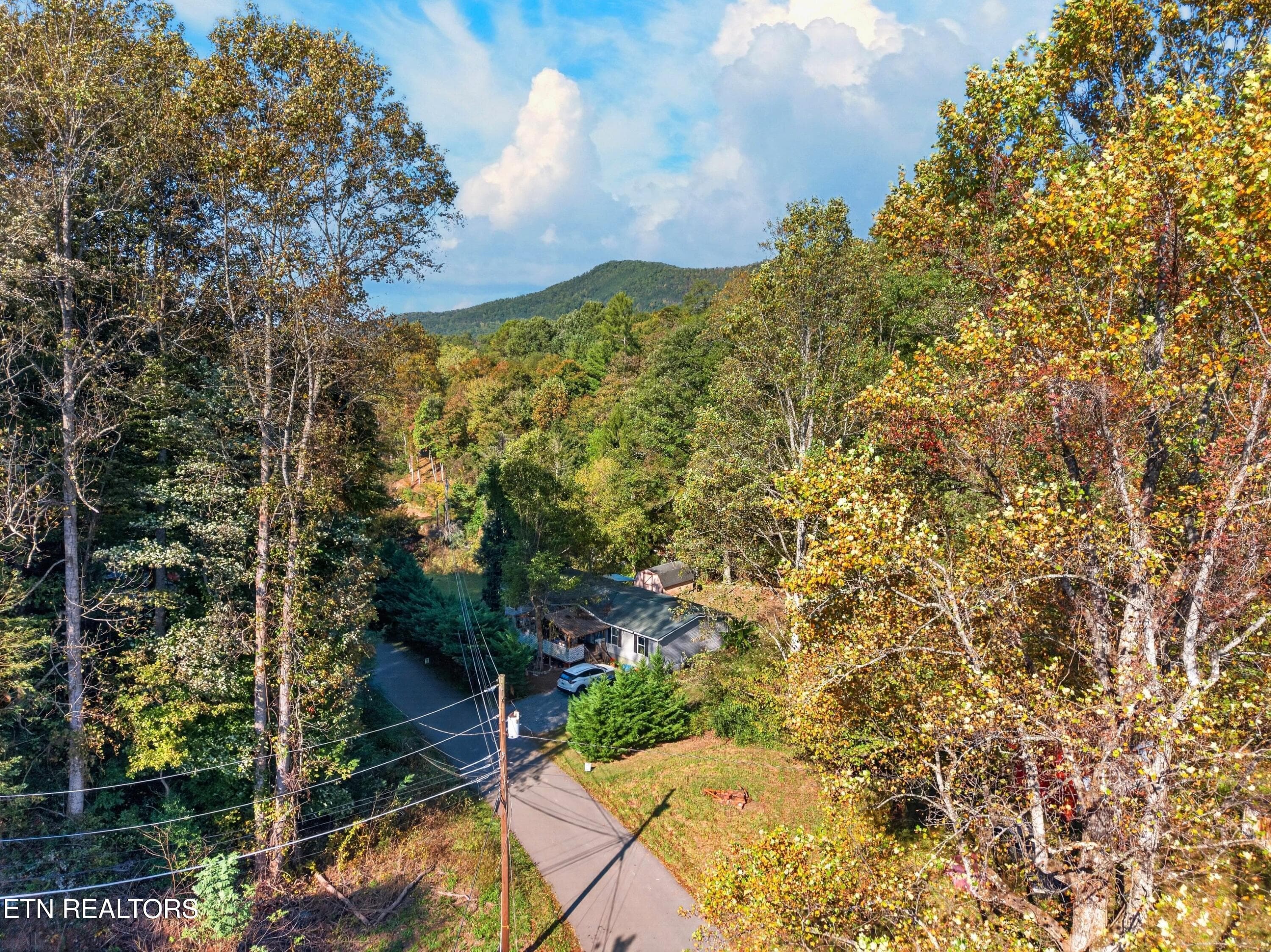 032-4221LindseyGapRoad-Cosby-TN-37722-SM - 4221 Lindsey Gap Rd, Cosby, TN 37722