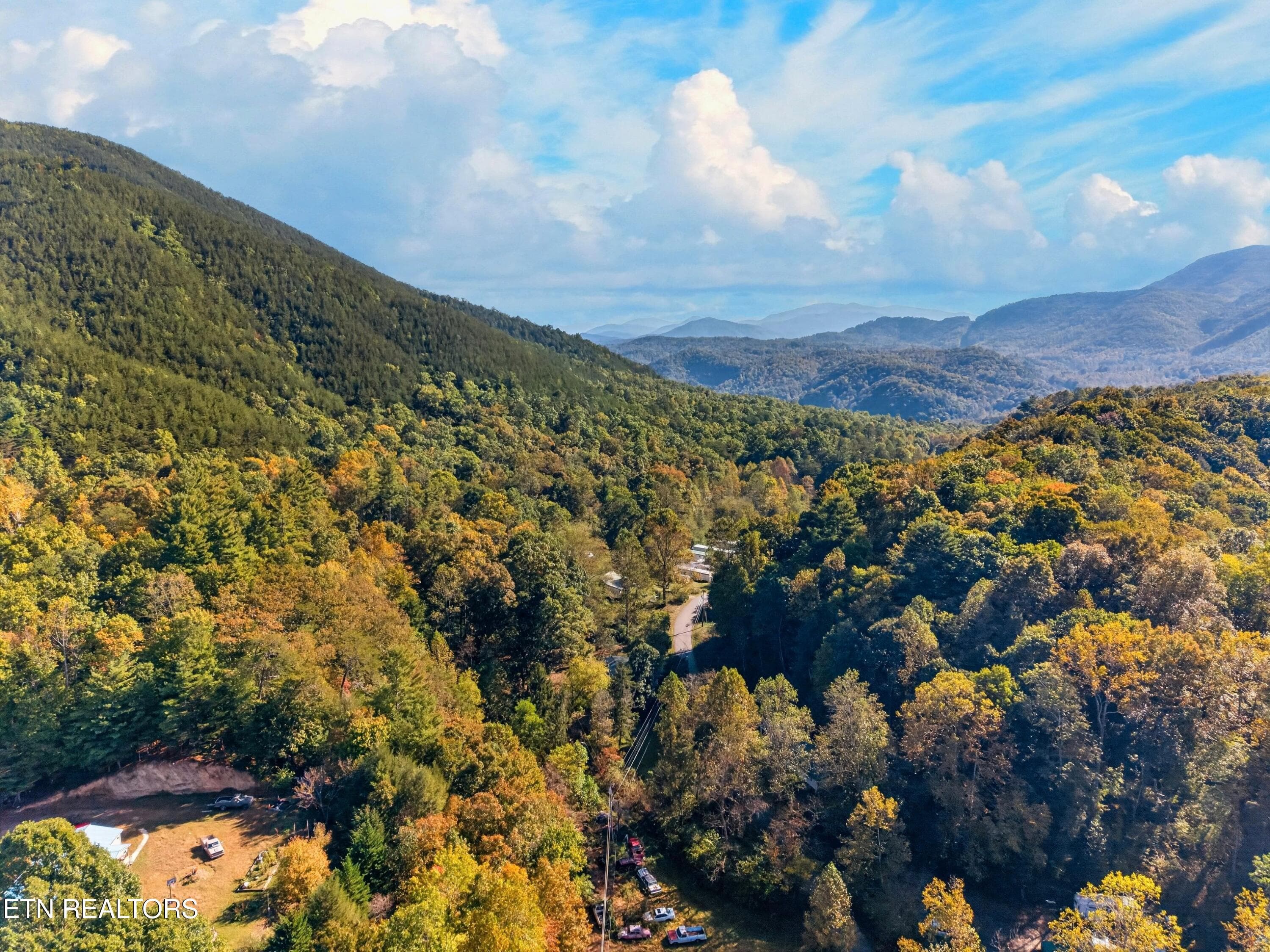 033-4221LindseyGapRoad-Cosby-TN-37722-SM - 4221 Lindsey Gap Rd, Cosby, TN 37722