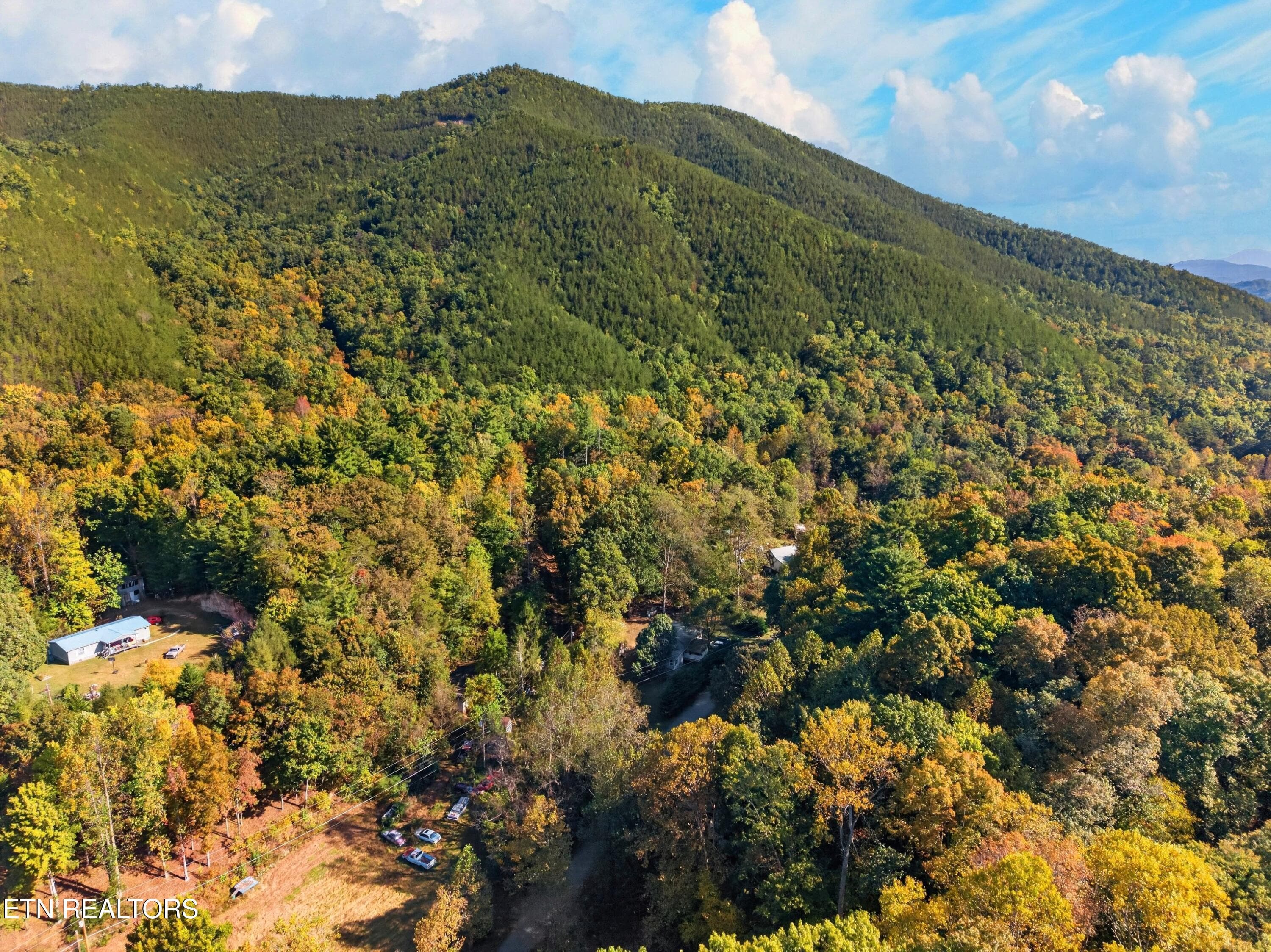 034-4221LindseyGapRoad-Cosby-TN-37722-SM - 4221 Lindsey Gap Rd, Cosby, TN 37722