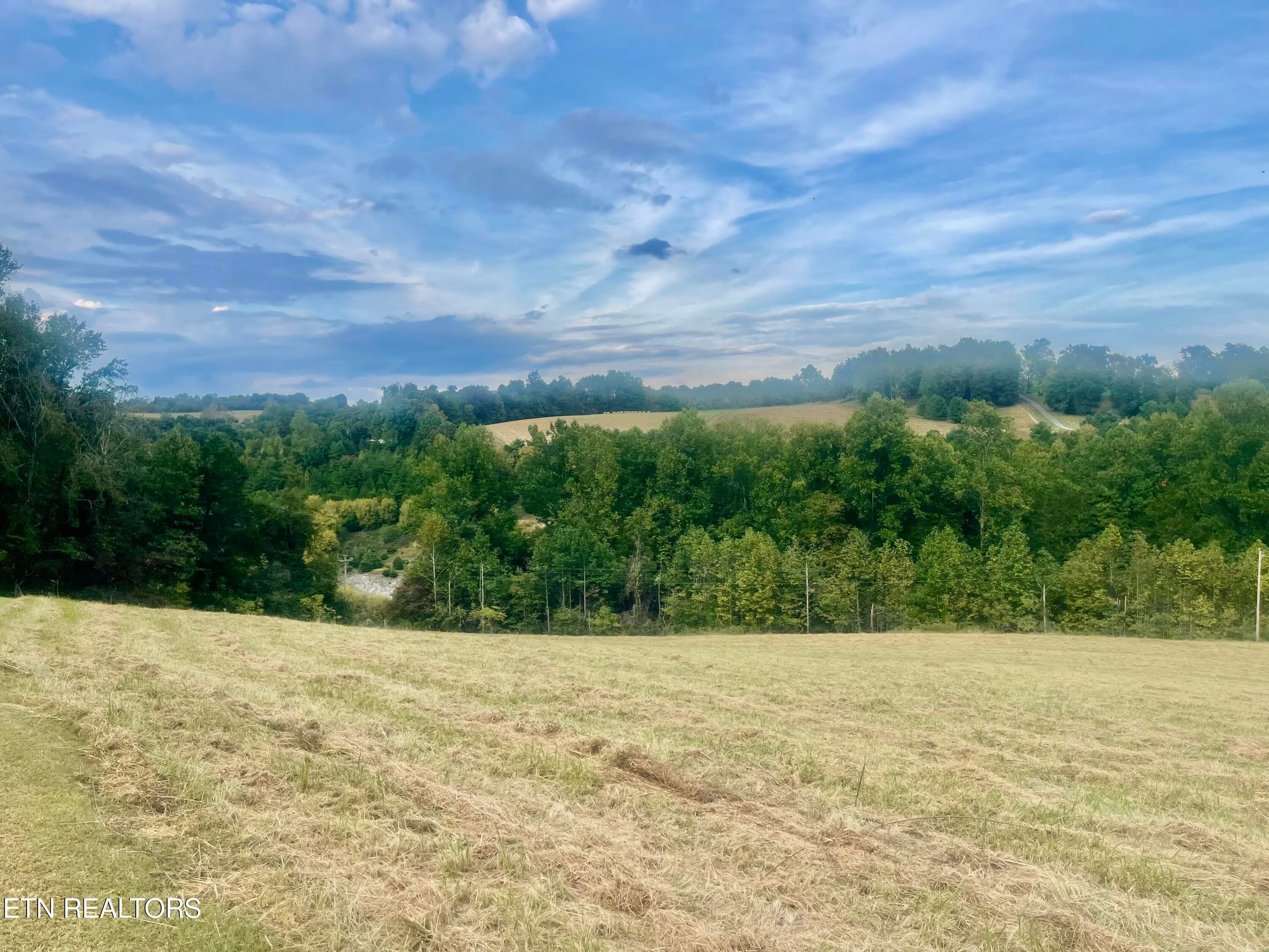 IMG_8900 - Freeman Rd, Tazewell, TN 37879