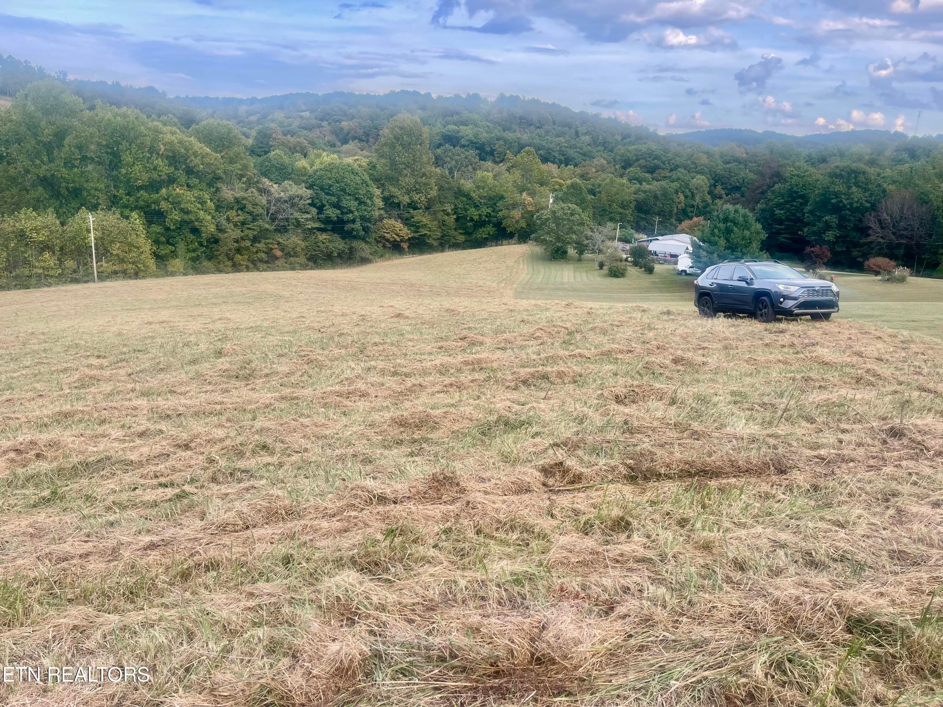 IMG_8903 - Freeman Rd, Tazewell, TN 37879