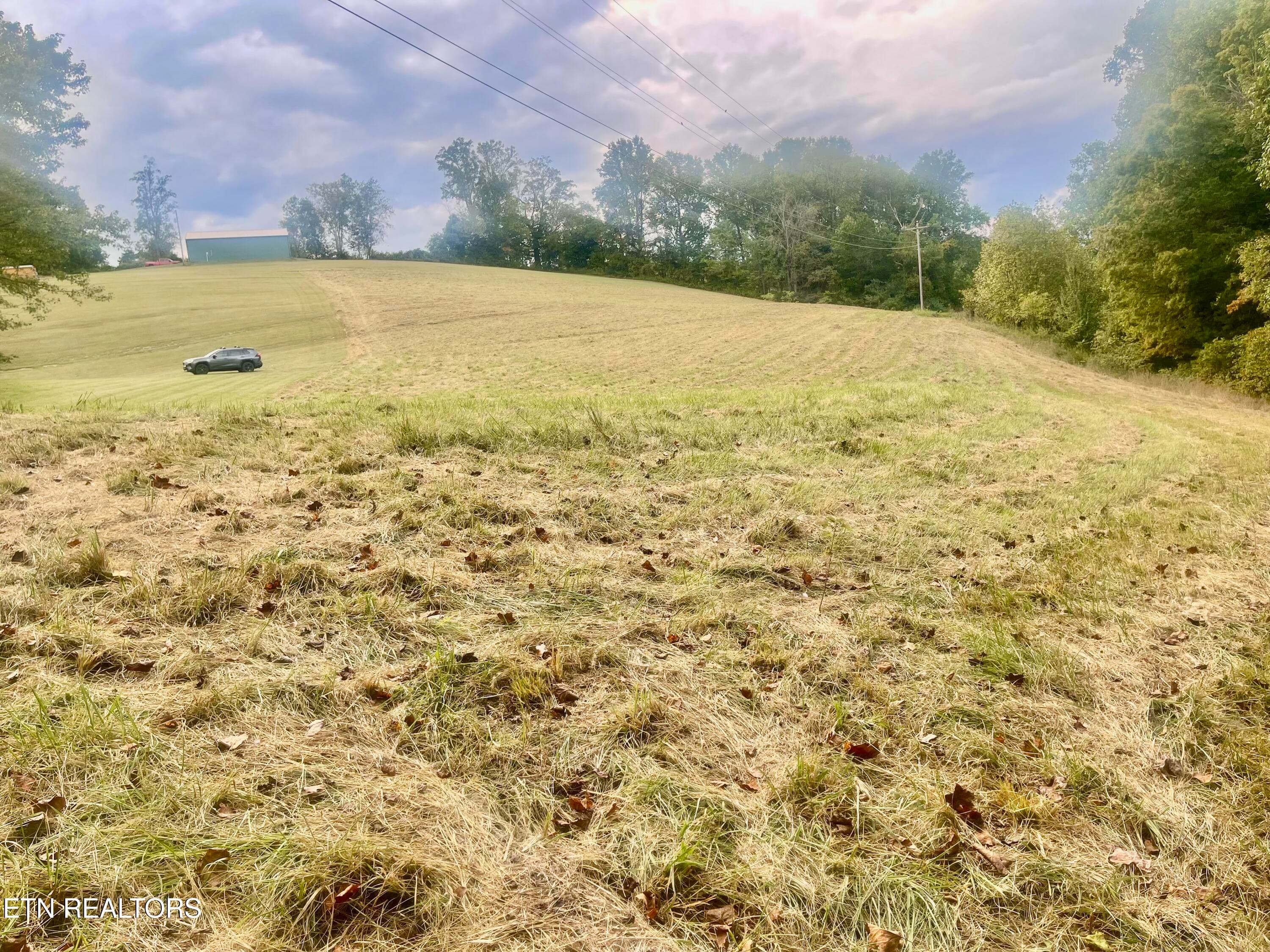 IMG_8906 - Freeman Rd, Tazewell, TN 37879