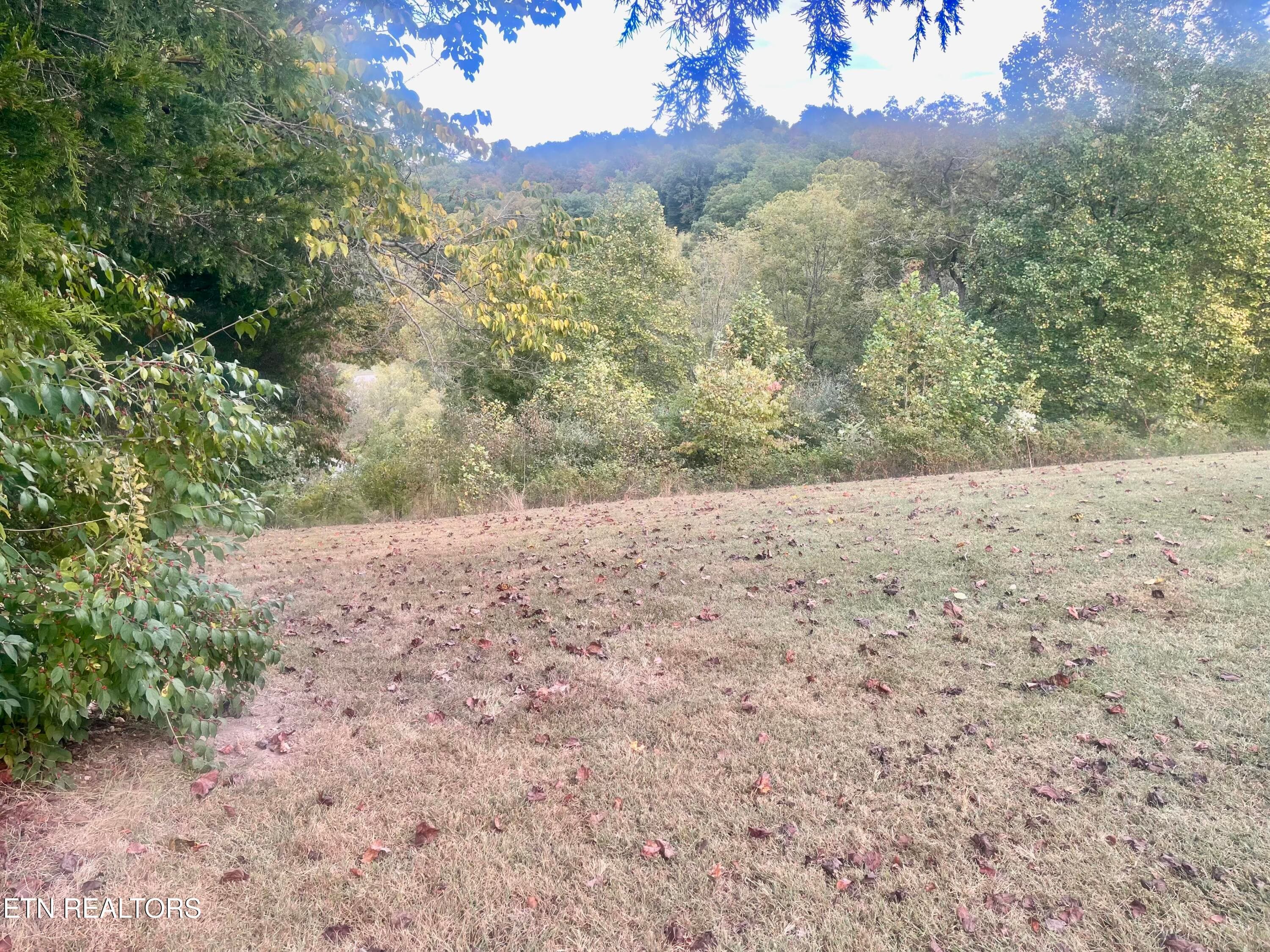 IMG_8905 - Freeman Rd, Tazewell, TN 37879