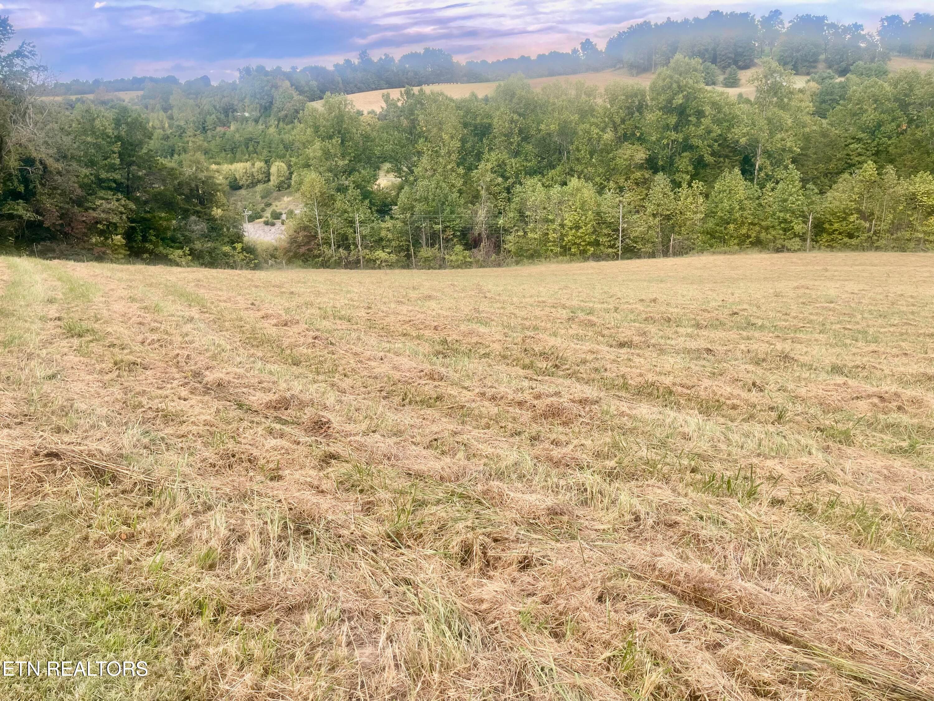 IMG_8901 - Freeman Rd, Tazewell, TN 37879