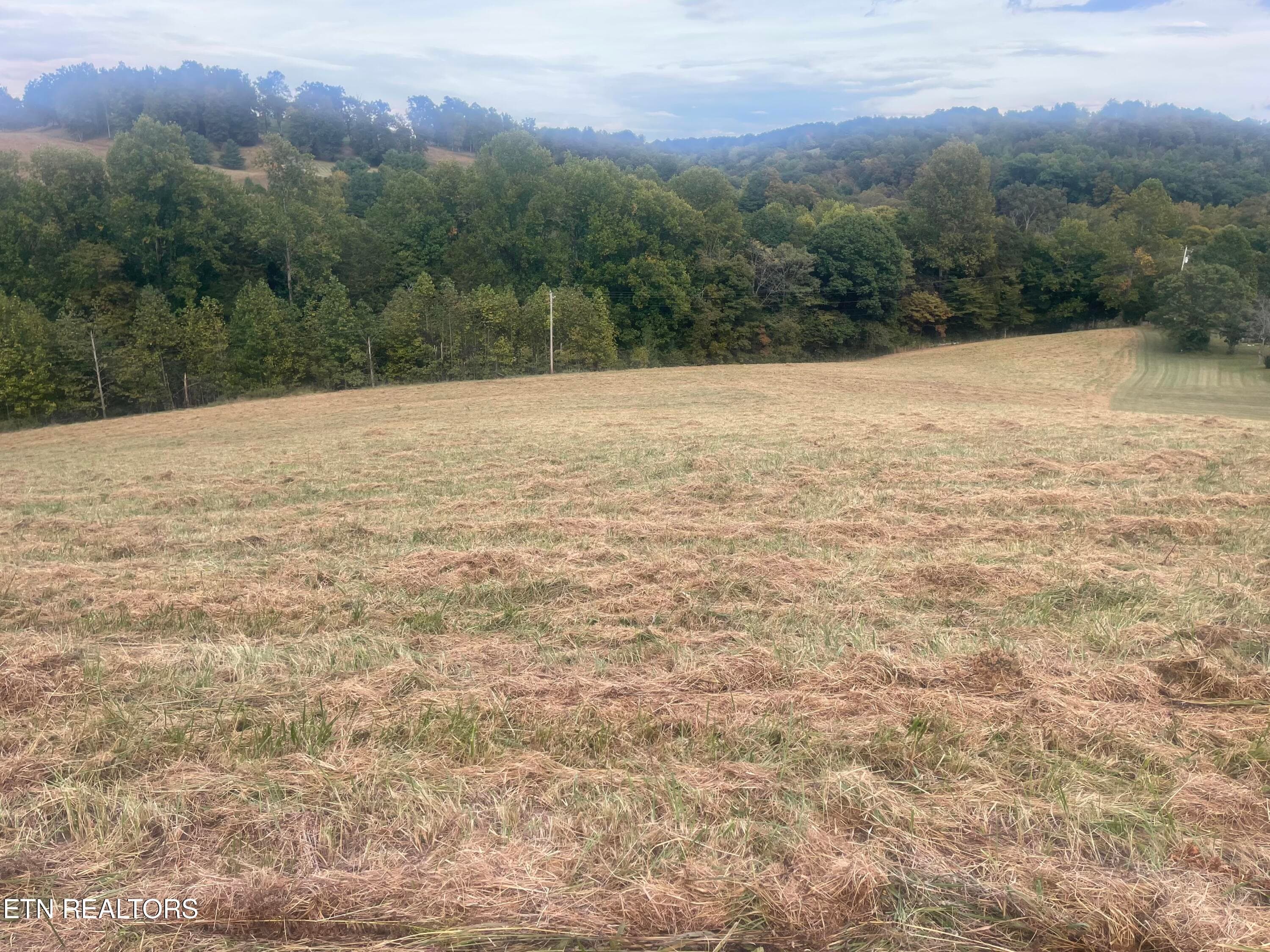 IMG_8902 - Freeman Rd, Tazewell, TN 37879