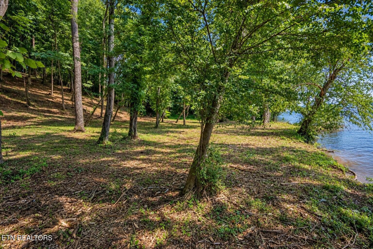 image000000 (2) - Lot 5 Valley Drive, Loudon, TN 37774