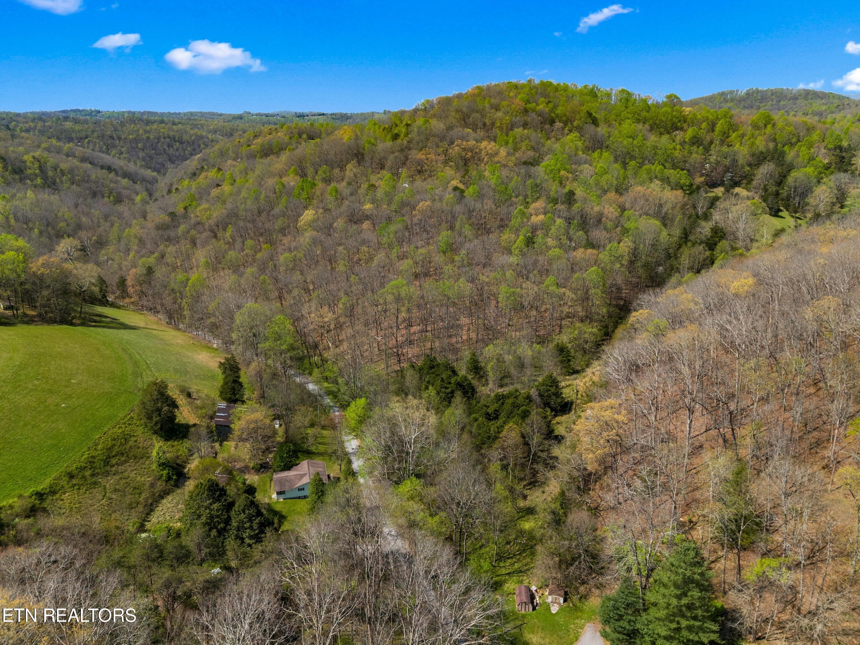 010-GreeverHollowRoad-Taswell-TN-37879-S - 0 Greever Hollow Rd, Tazewell, TN 37879