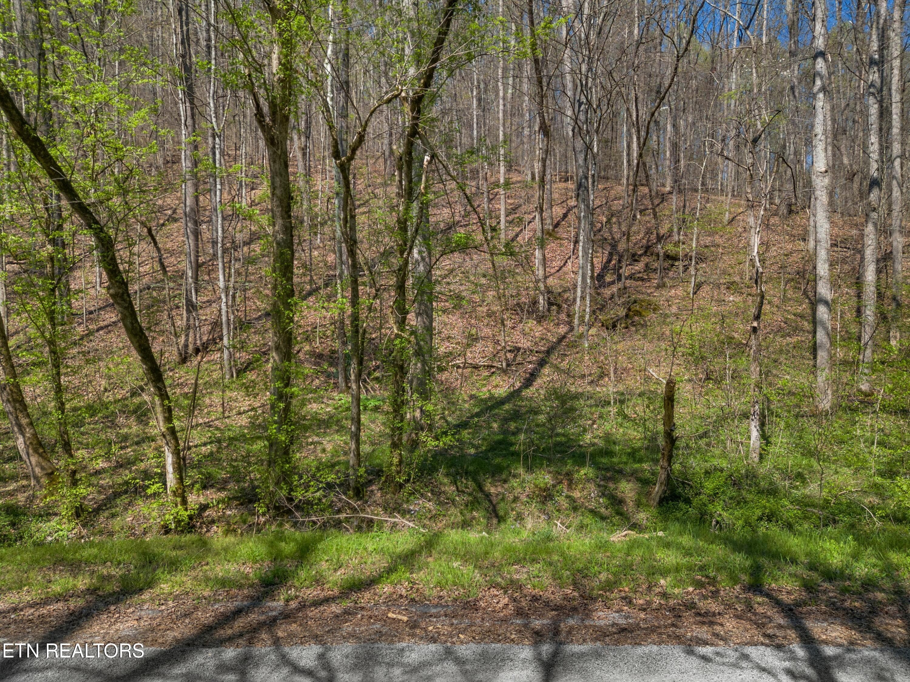 013-GreeverHollowRoad-Taswell-TN-37879-S - 0 Greever Hollow Rd, Tazewell, TN 37879