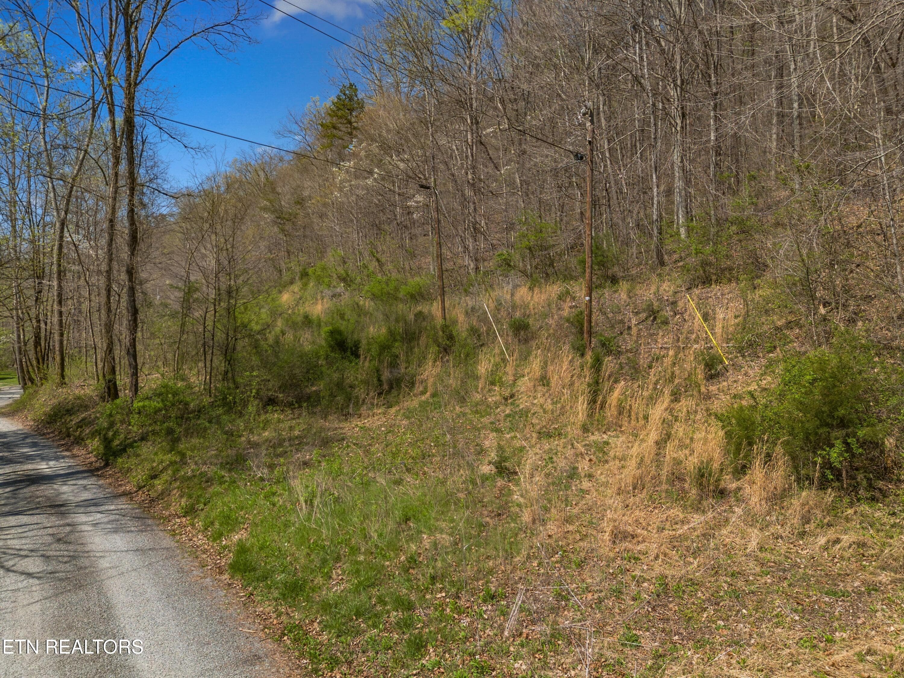 003-GreeverHollowRoad-Taswell-TN-37879-S - 0 Greever Hollow Rd, Tazewell, TN 37879