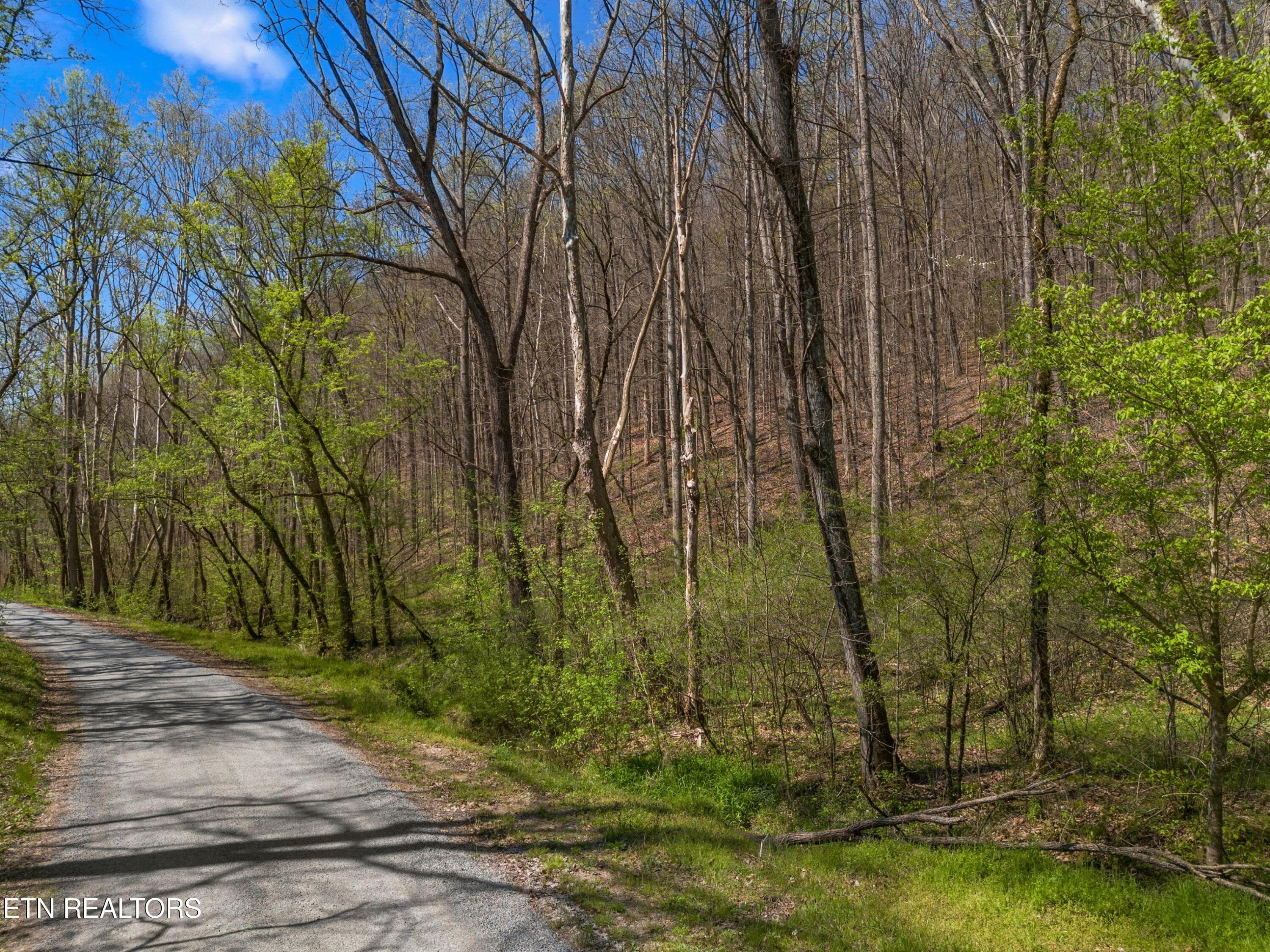011-GreeverHollowRoad-Taswell-TN-37879-S - 0 Greever Hollow Rd, Tazewell, TN 37879
