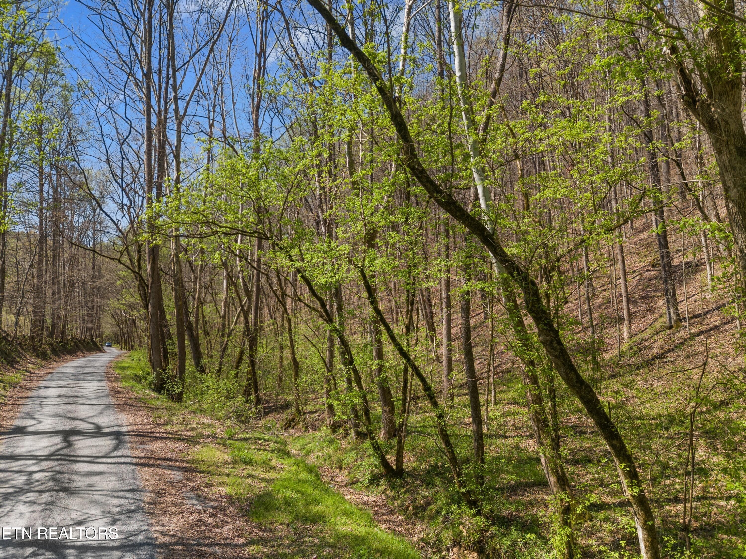 012-GreeverHollowRoad-Taswell-TN-37879-S - 0 Greever Hollow Rd, Tazewell, TN 37879