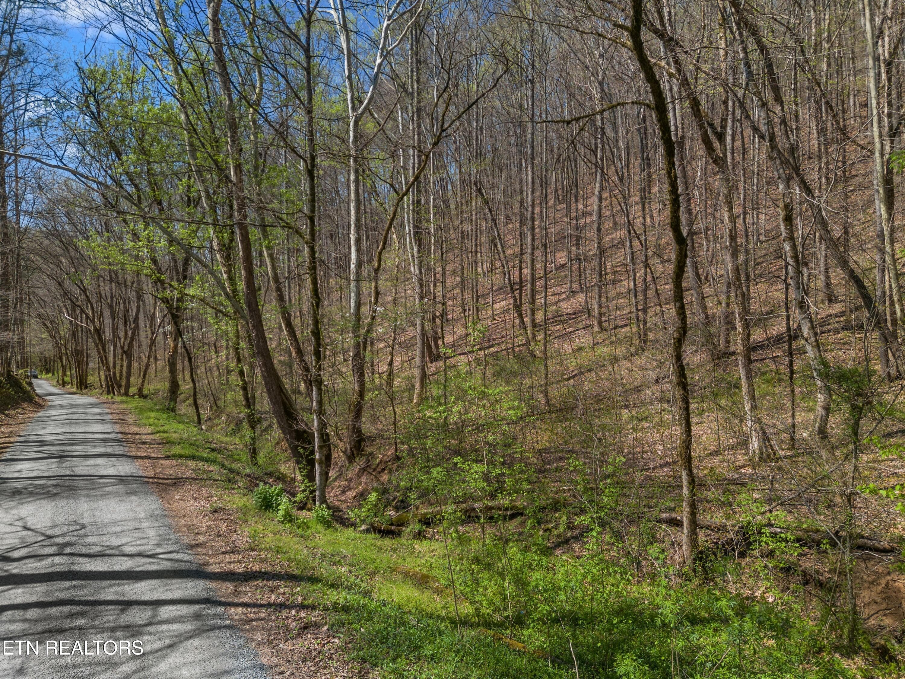 014-GreeverHollowRoad-Taswell-TN-37879-S - 0 Greever Hollow Rd, Tazewell, TN 37879