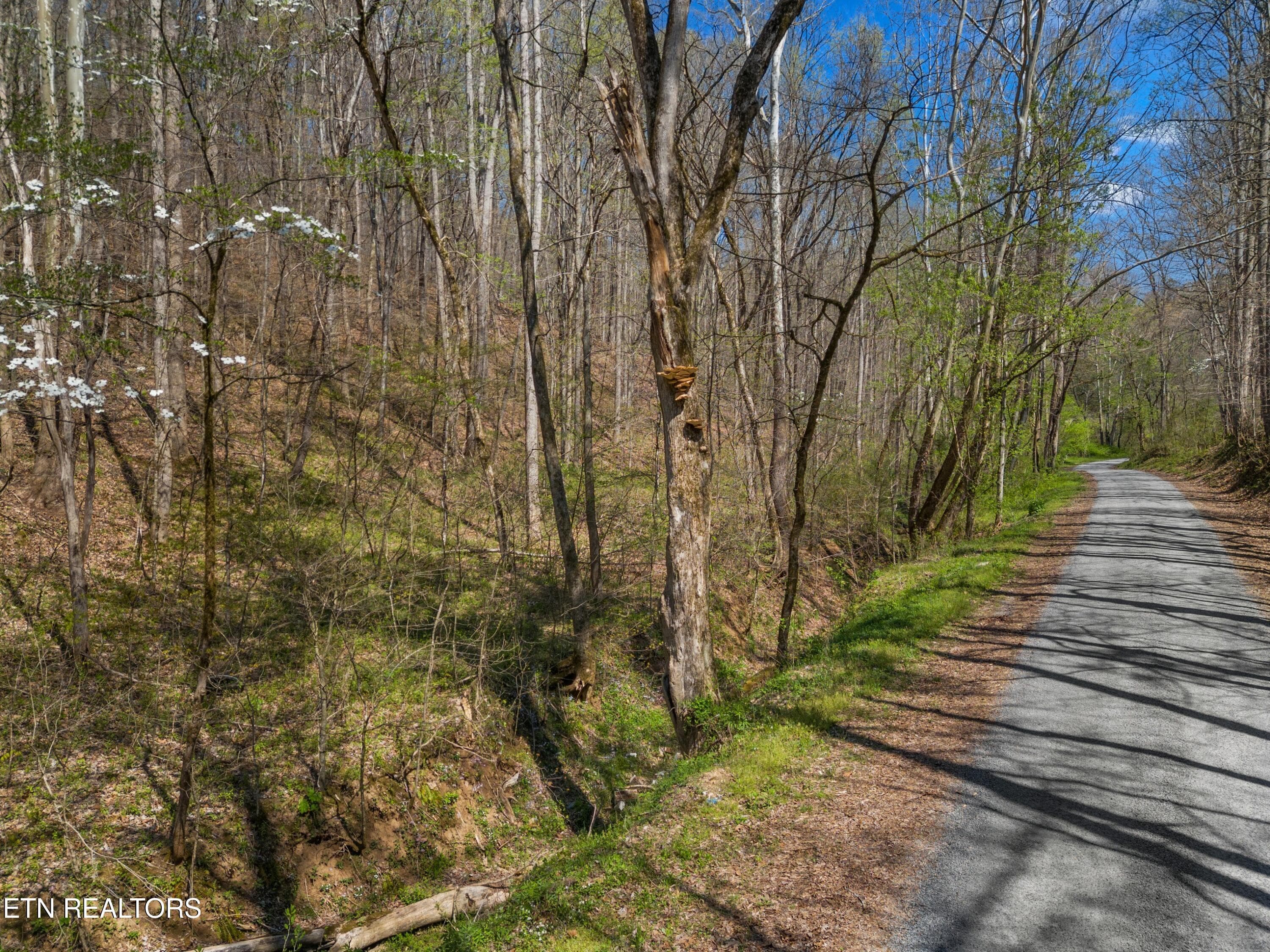 015-GreeverHollowRoad-Taswell-TN-37879-S - 0 Greever Hollow Rd, Tazewell, TN 37879