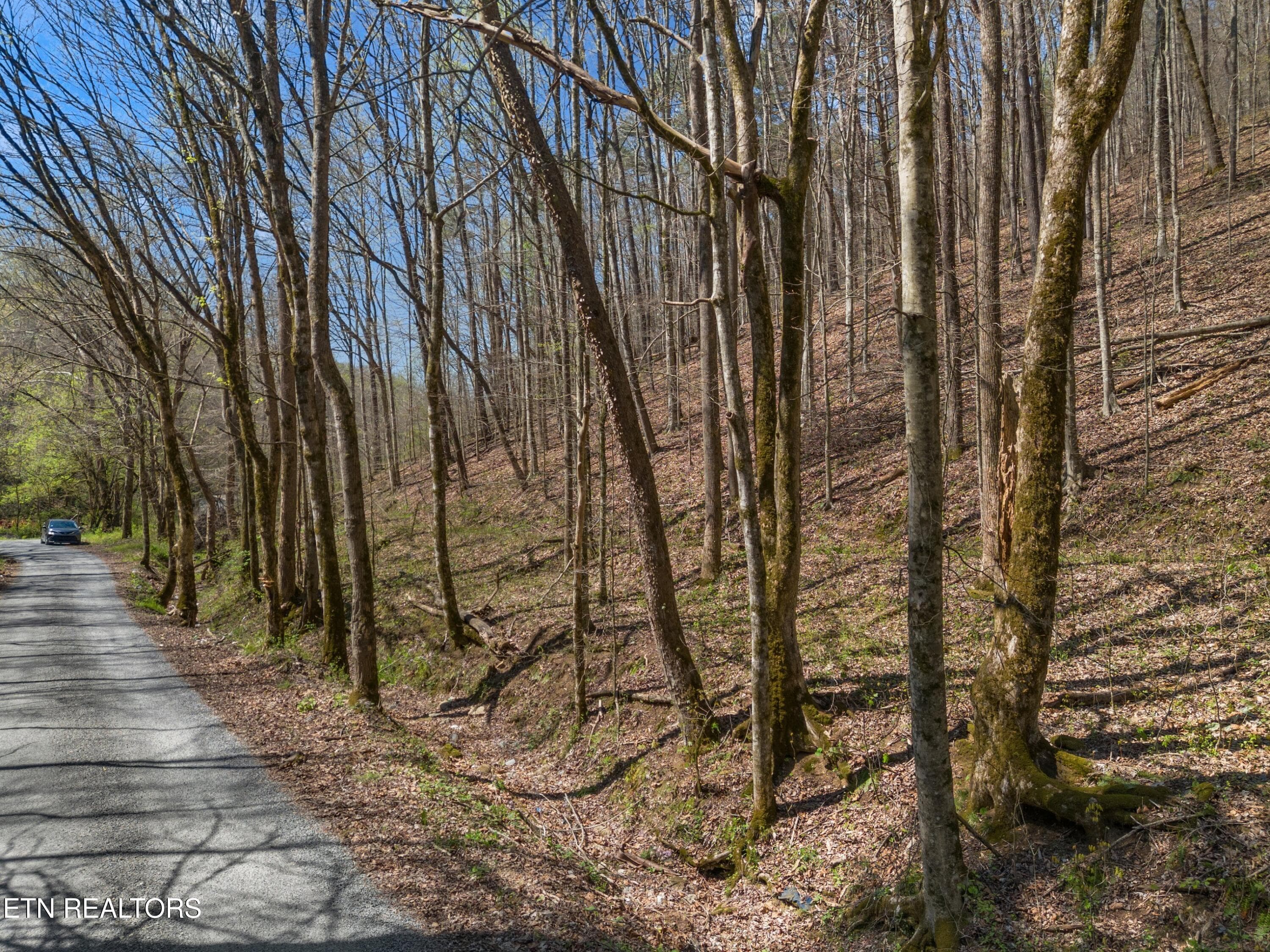 016-GreeverHollowRoad-Taswell-TN-37879-S - 0 Greever Hollow Rd, Tazewell, TN 37879