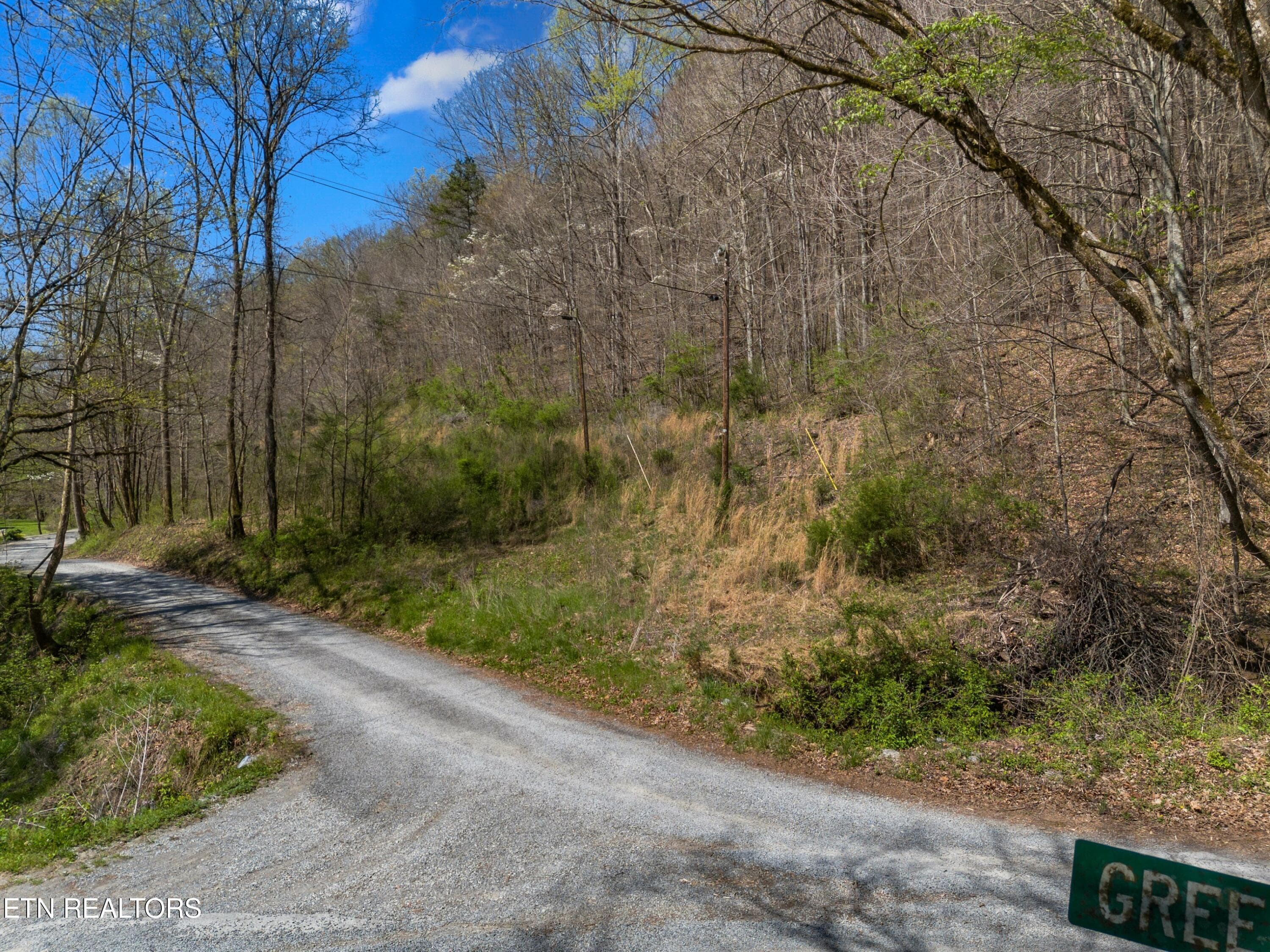 017-GreeverHollowRoad-Taswell-TN-37879-S - 0 Greever Hollow Rd, Tazewell, TN 37879