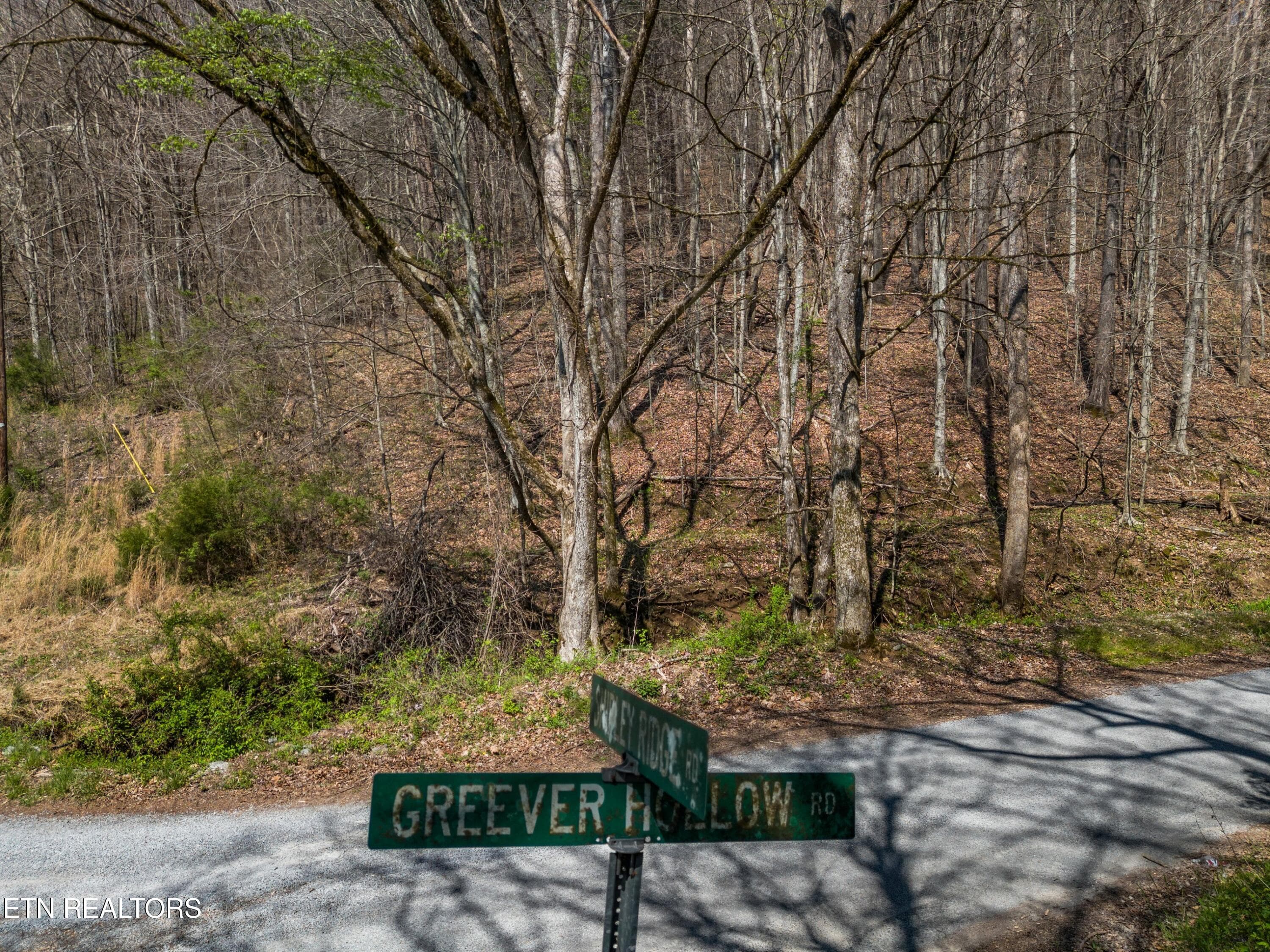 018-GreeverHollowRoad-Taswell-TN-37879-S - 0 Greever Hollow Rd, Tazewell, TN 37879