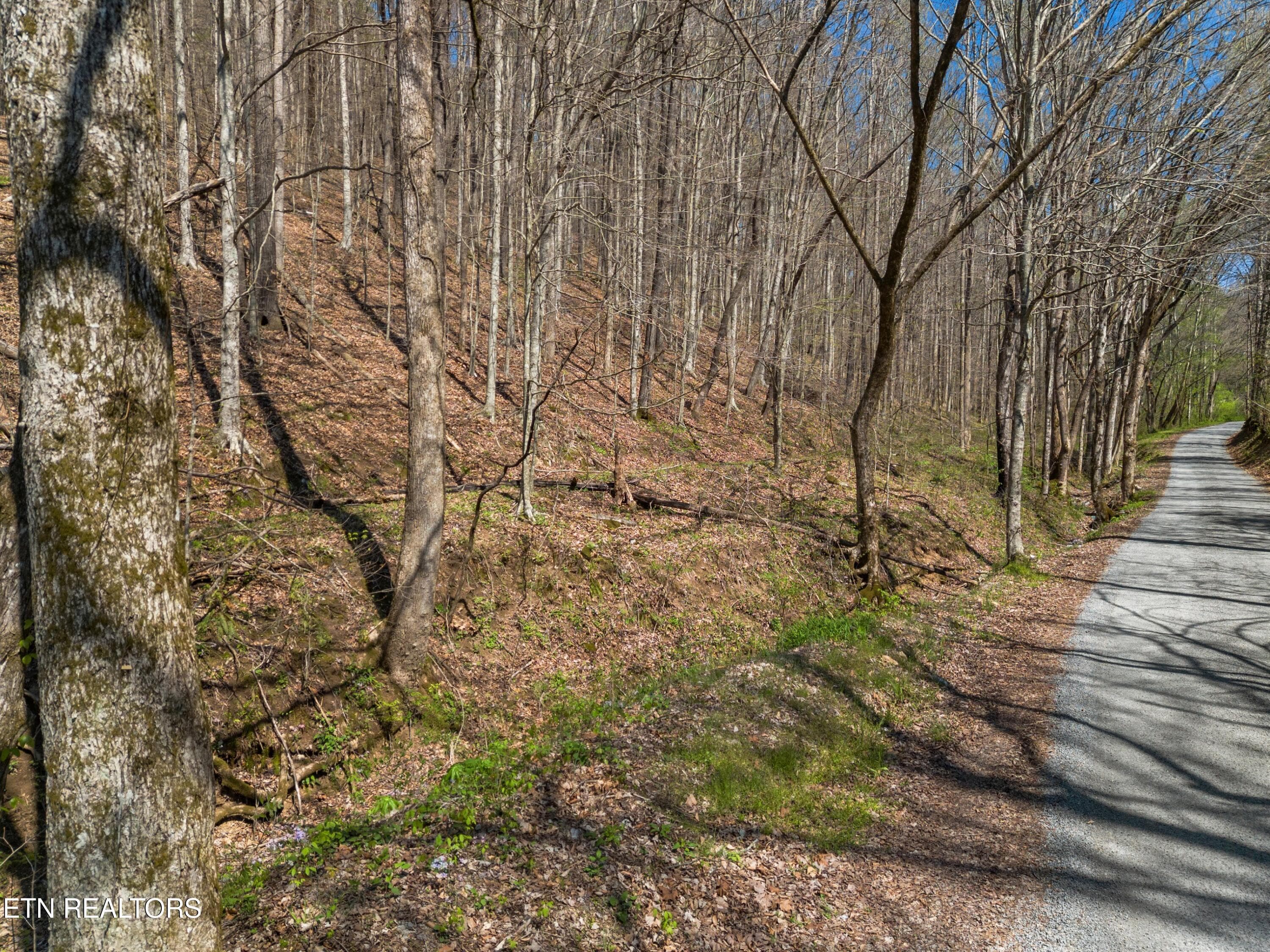 002-GreeverHollowRoad-Taswell-TN-37879-S - 0 Greever Hollow Rd, Tazewell, TN 37879