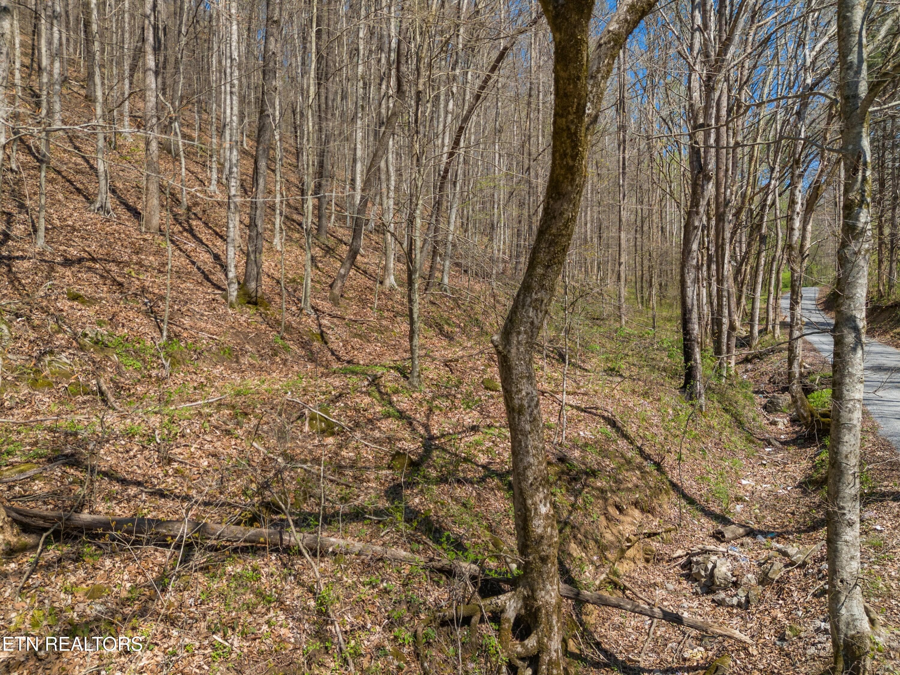 004-GreeverHollowRoad-Taswell-TN-37879-S - 0 Greever Hollow Rd, Tazewell, TN 37879