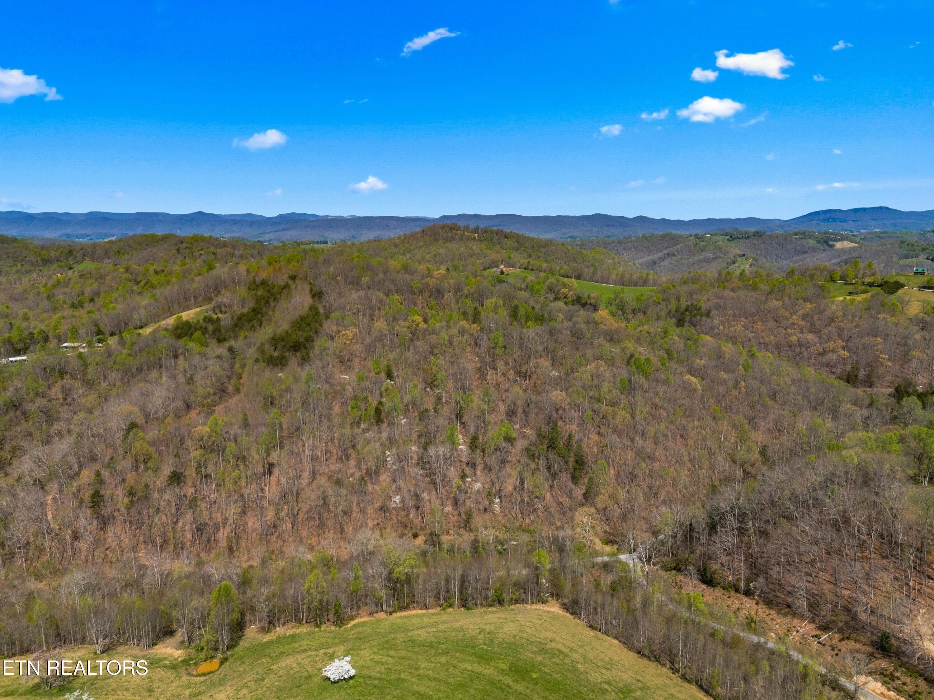 005-GreeverHollowRoad-Taswell-TN-37879-S - 0 Greever Hollow Rd, Tazewell, TN 37879