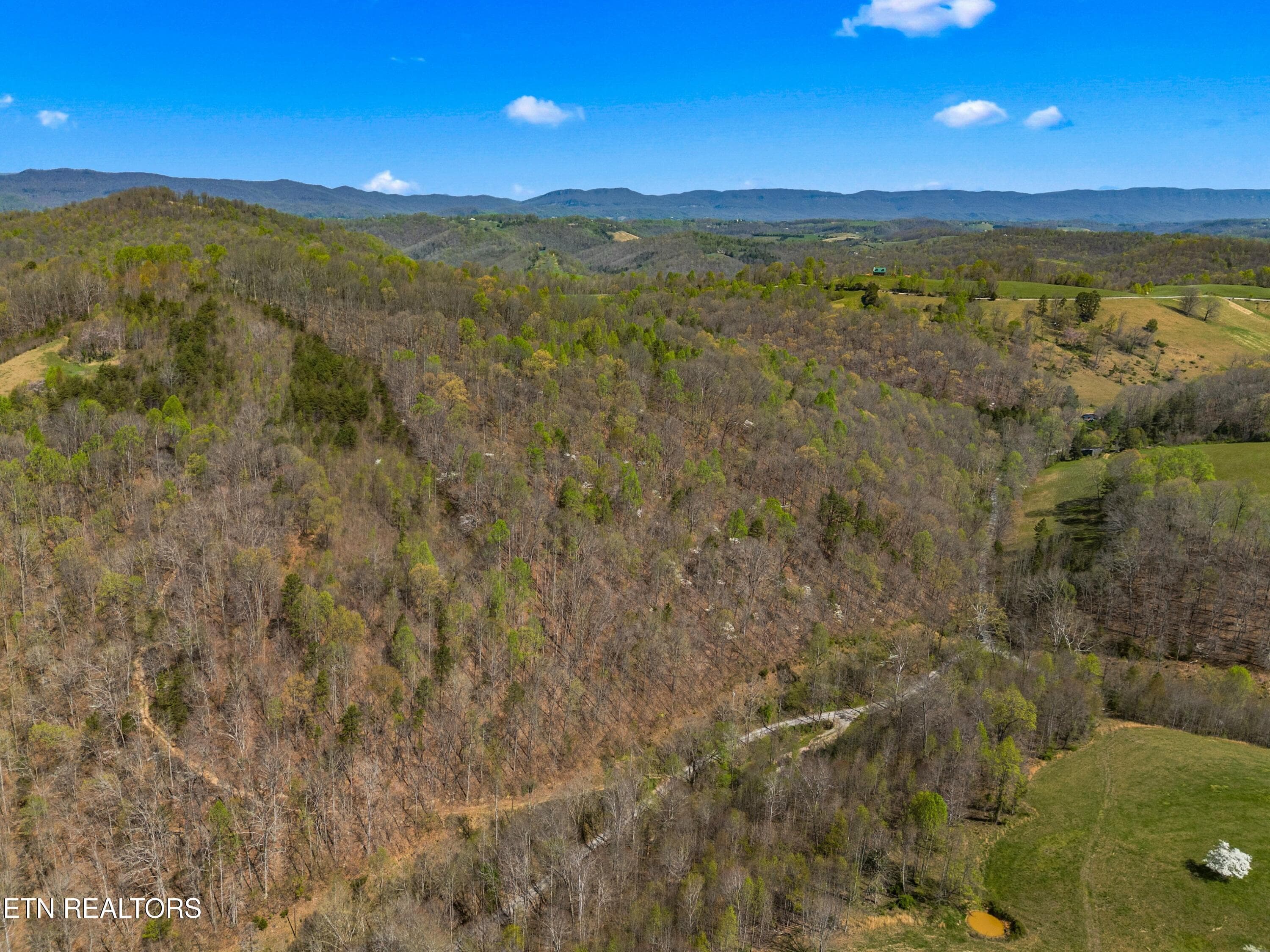 006-GreeverHollowRoad-Taswell-TN-37879-S - 0 Greever Hollow Rd, Tazewell, TN 37879