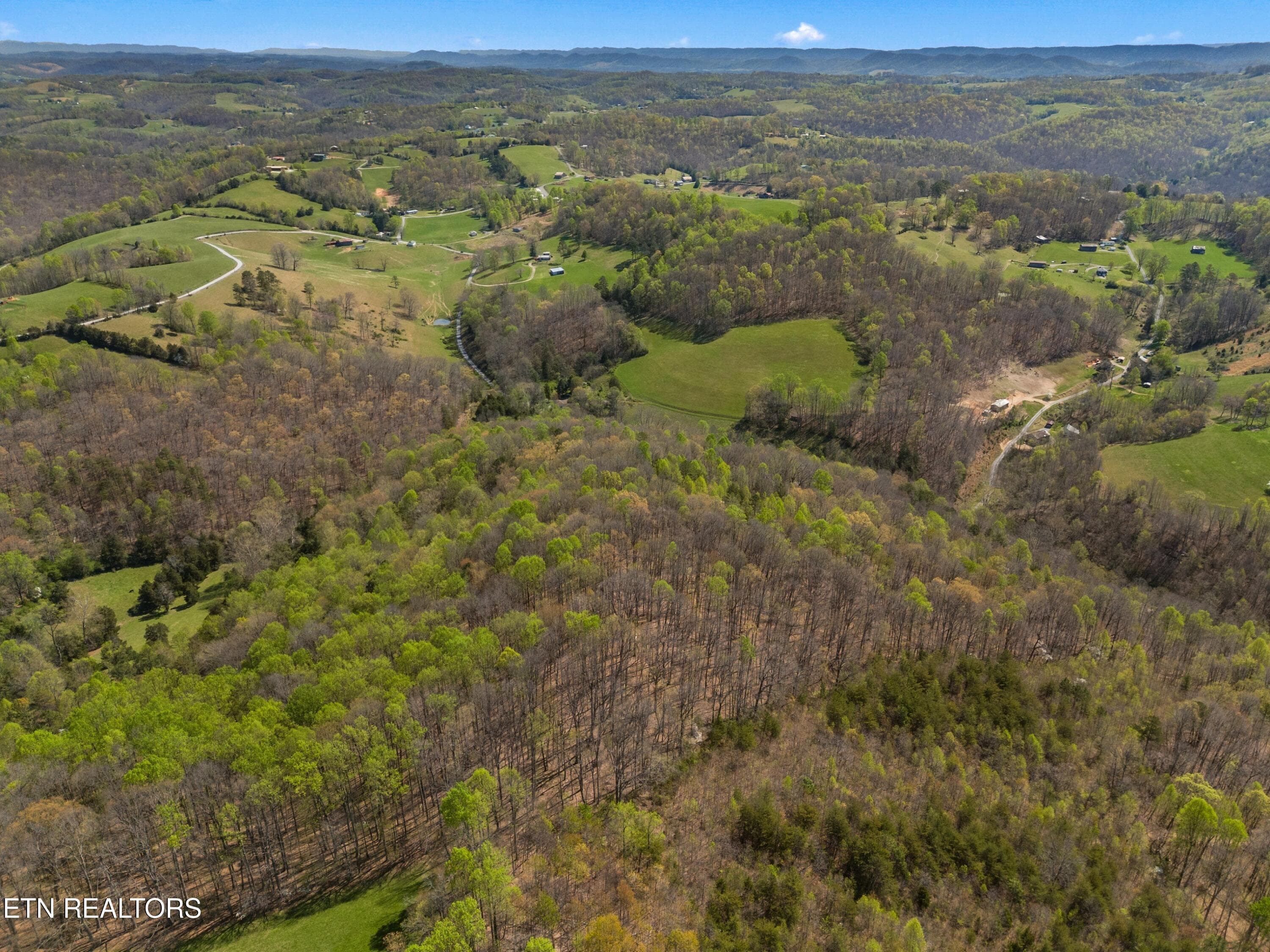 007-GreeverHollowRoad-Taswell-TN-37879-S - 0 Greever Hollow Rd, Tazewell, TN 37879