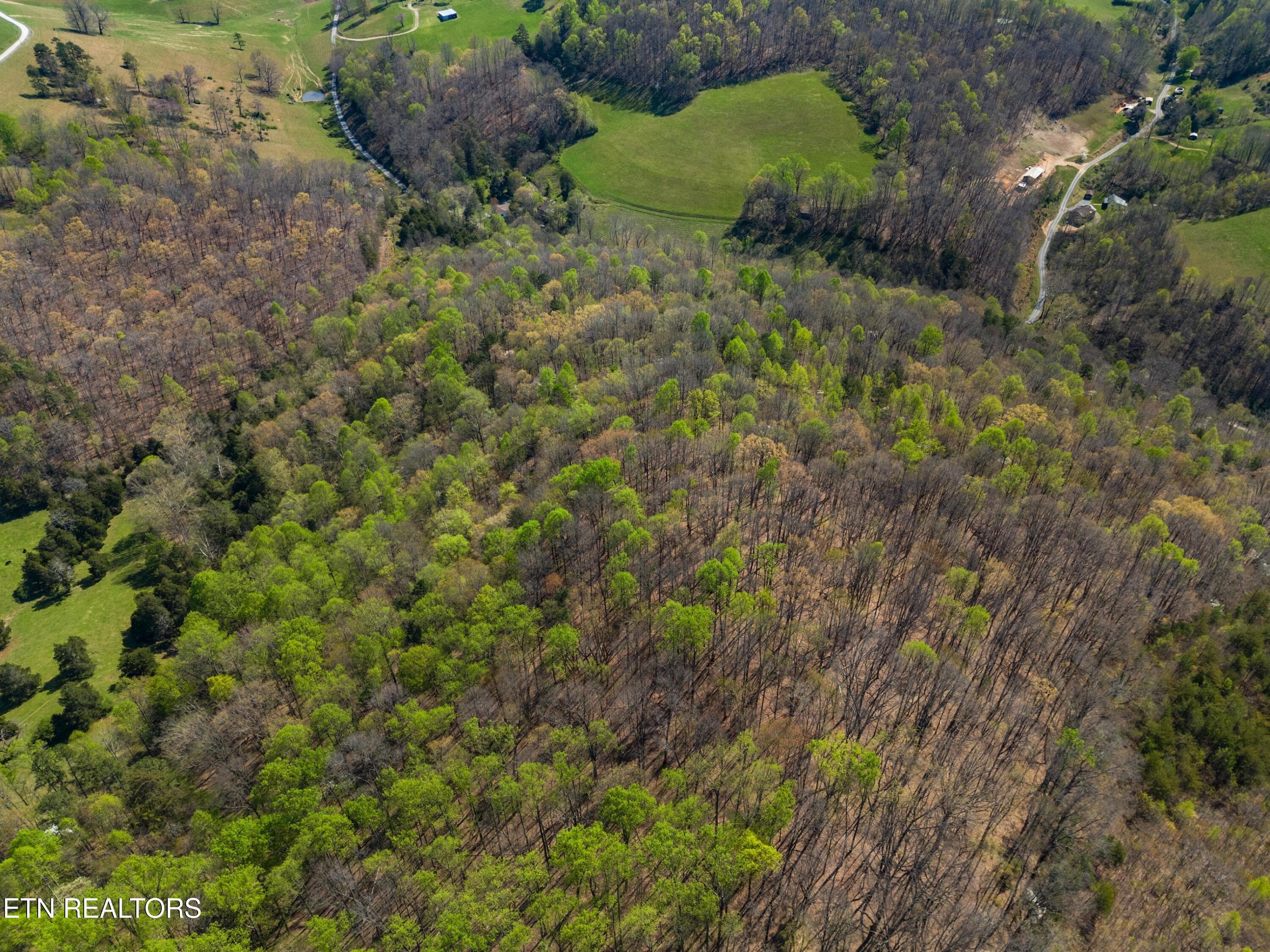 008-GreeverHollowRoad-Taswell-TN-37879-S - 0 Greever Hollow Rd, Tazewell, TN 37879