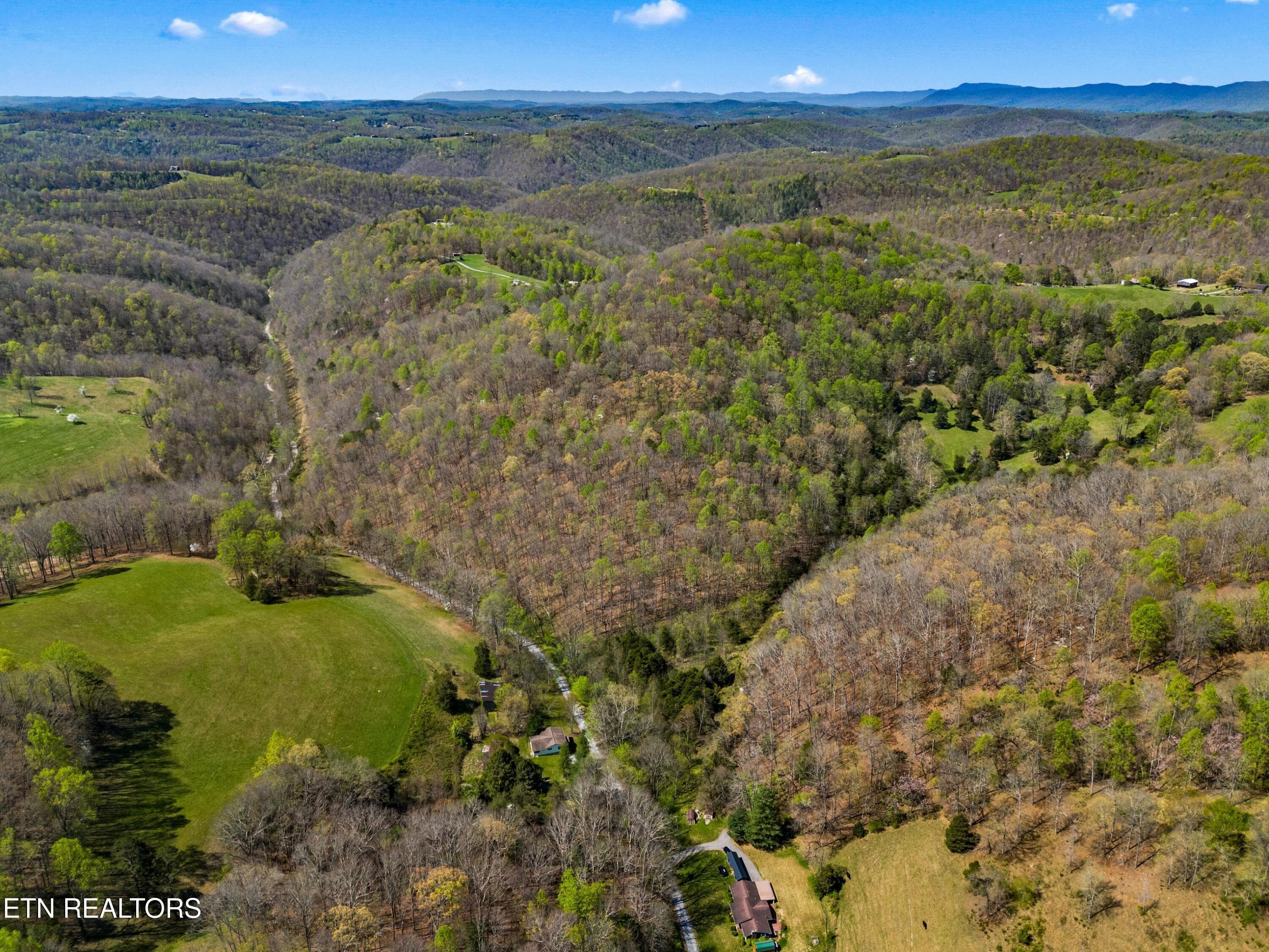 009-GreeverHollowRoad-Taswell-TN-37879-S - 0 Greever Hollow Rd, Tazewell, TN 37879