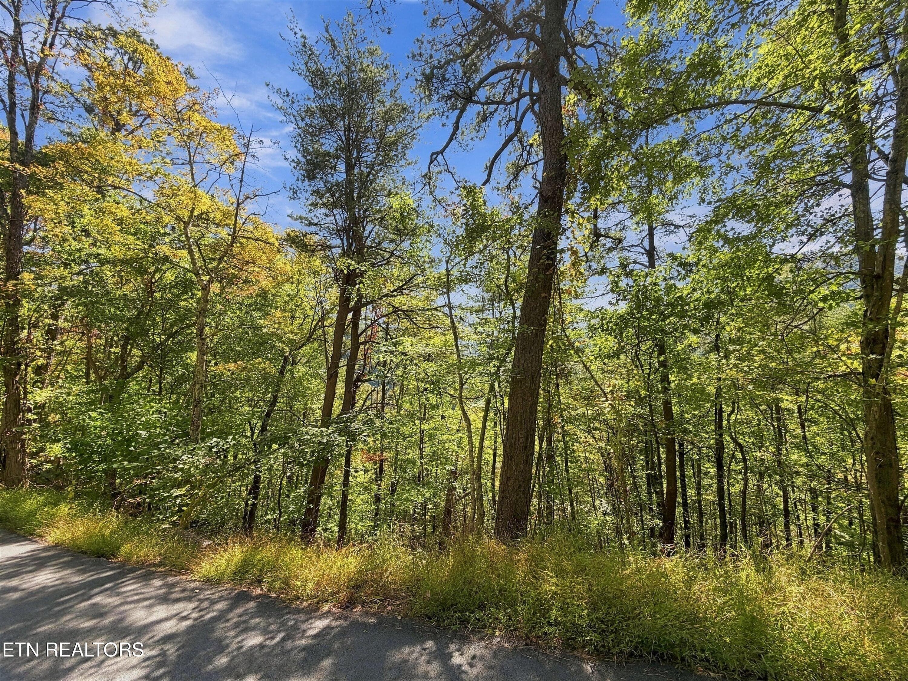 16-Lot 17 Overholt Trail 12 - Overholt Tr, Sevierville, TN 37862