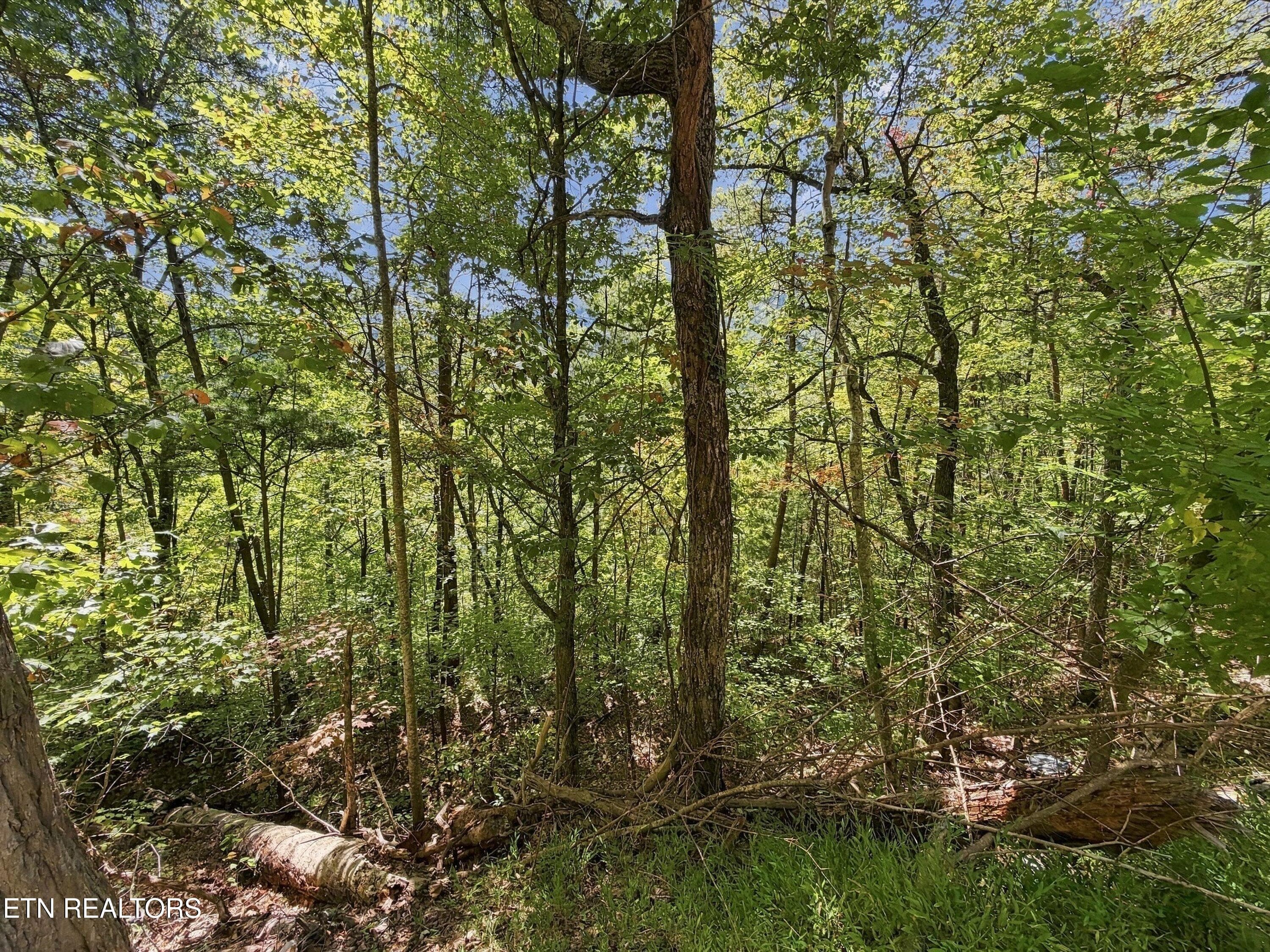 18-Lot 17 Overholt Trail 14 - Overholt Tr, Sevierville, TN 37862