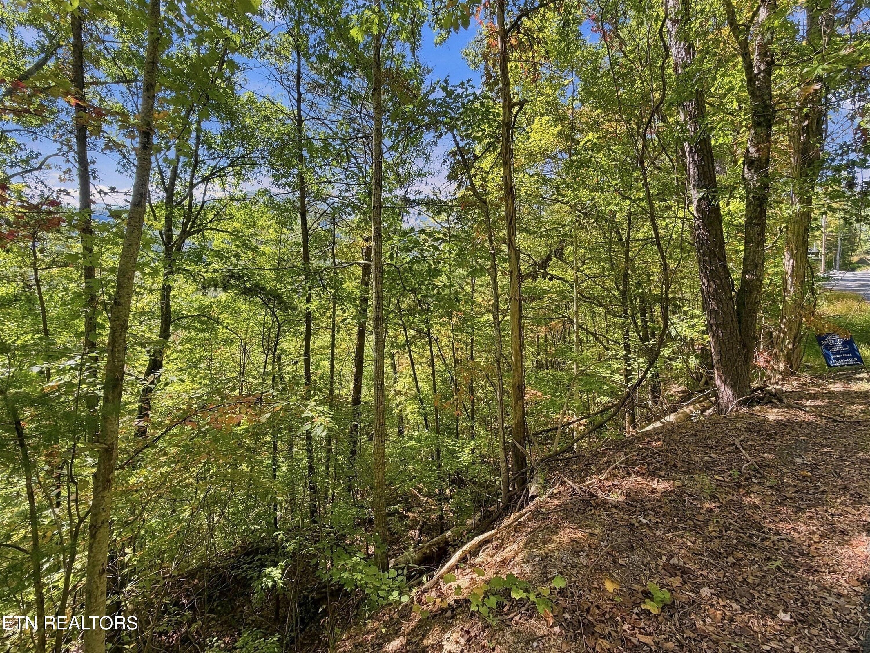 20-Lot 17 Overholt Trail 16 - Overholt Tr, Sevierville, TN 37862