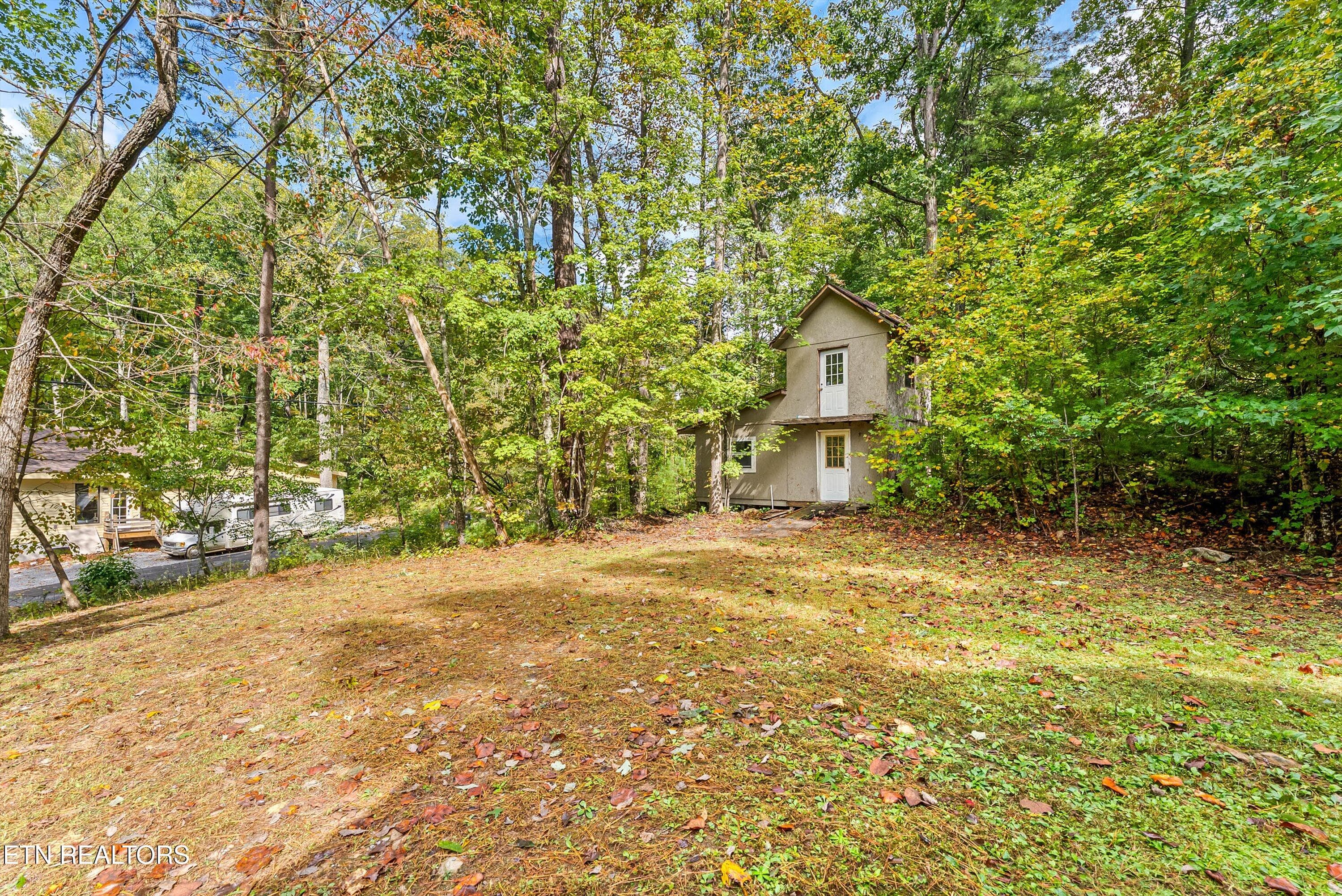 20-Clearing A3 - 1408 Alpine Drive, Sevierville, TN 37876