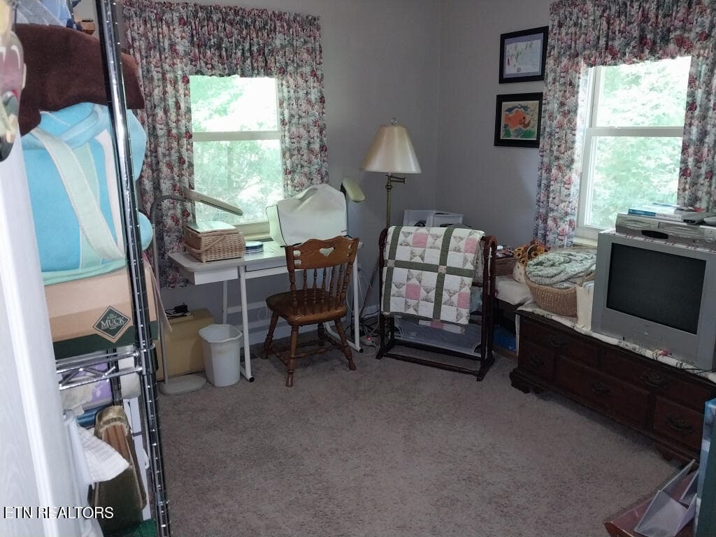 3381-Upper-Caney-Valley-Road-11 - 3381 Upper Caney Valley Rd, Tazewell, TN 37879