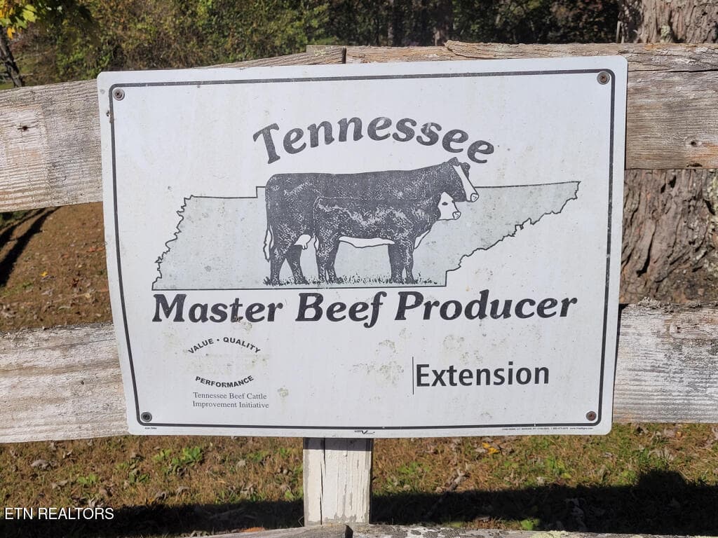 3381-Upper-Caney-Valley-Road-19 - 3381 Upper Caney Valley Rd, Tazewell, TN 37879
