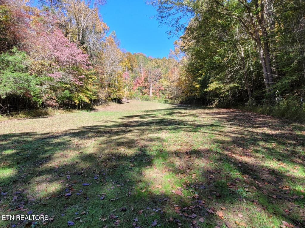 3381-Upper-Caney-Valley-Road-28 - 3381 Upper Caney Valley Rd, Tazewell, TN 37879