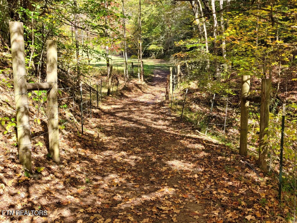 3381-Upper-Caney-Valley-Road-33 - 3381 Upper Caney Valley Rd, Tazewell, TN 37879