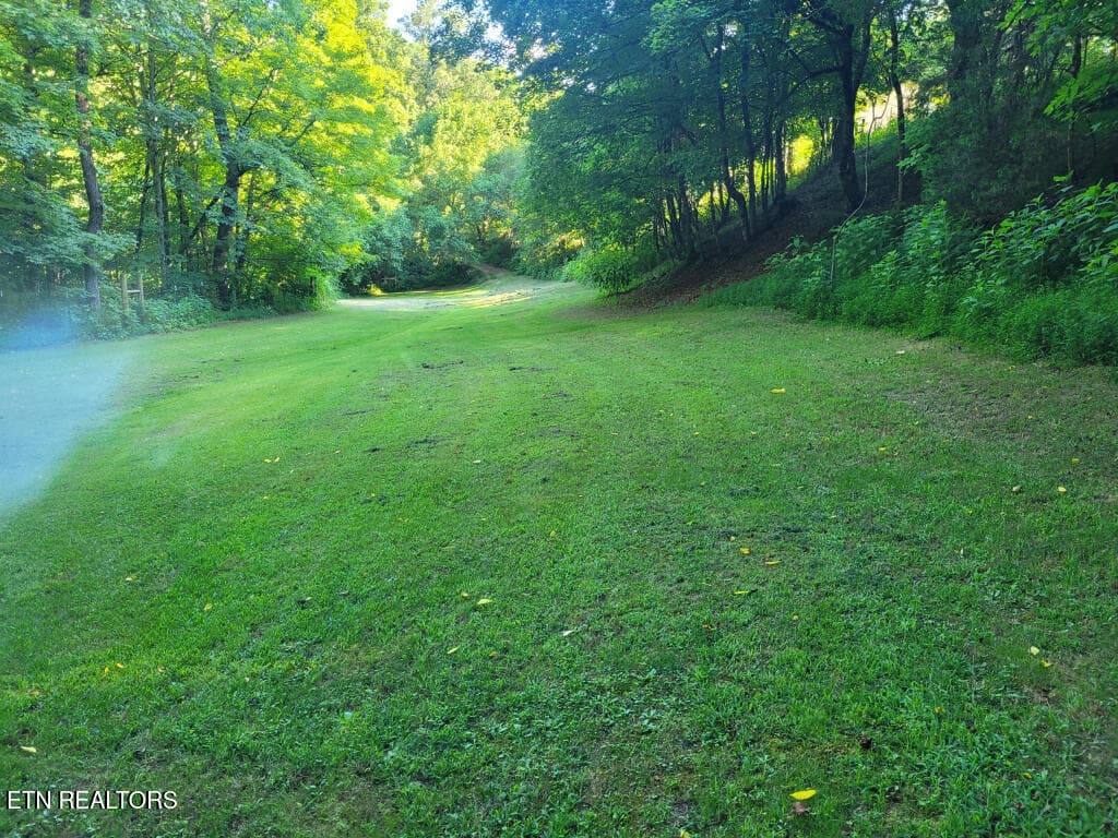 3381-Upper-Caney-Valley-Road-35 - 3381 Upper Caney Valley Rd, Tazewell, TN 37879
