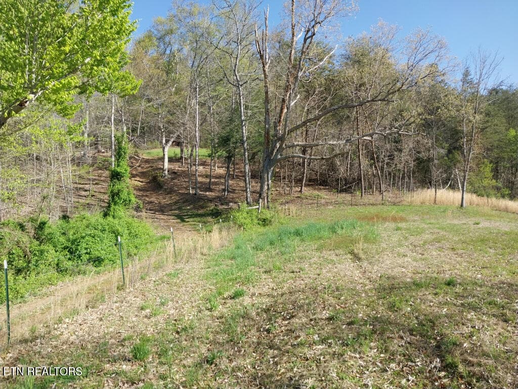 3381-Upper-Caney-Valley-Road-36 - 3381 Upper Caney Valley Rd, Tazewell, TN 37879
