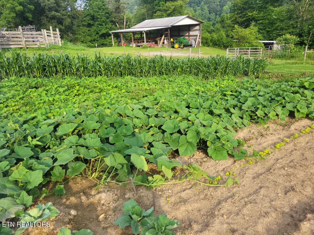3381-Upper-Caney-Valley-Road-44 - 3381 Upper Caney Valley Rd, Tazewell, TN 37879