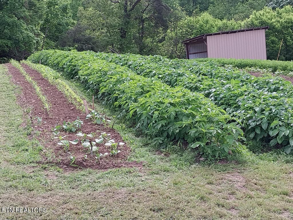 3381-Upper-Caney-Valley-Road-46 - 3381 Upper Caney Valley Rd, Tazewell, TN 37879