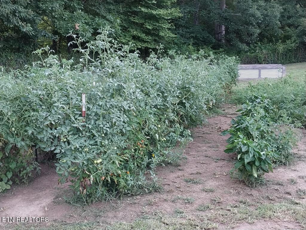 3381-Upper-Caney-Valley-Road-47 - 3381 Upper Caney Valley Rd, Tazewell, TN 37879