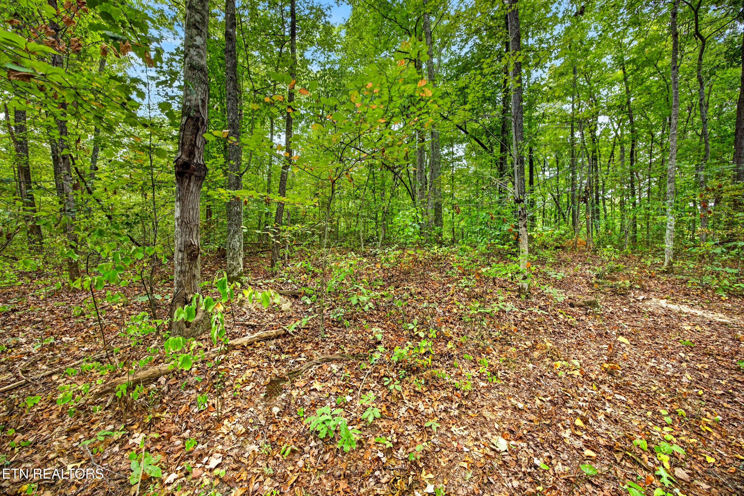 3-8N5A6450 - Lot X & 22 Colepin Lane, Celina, TN 38551