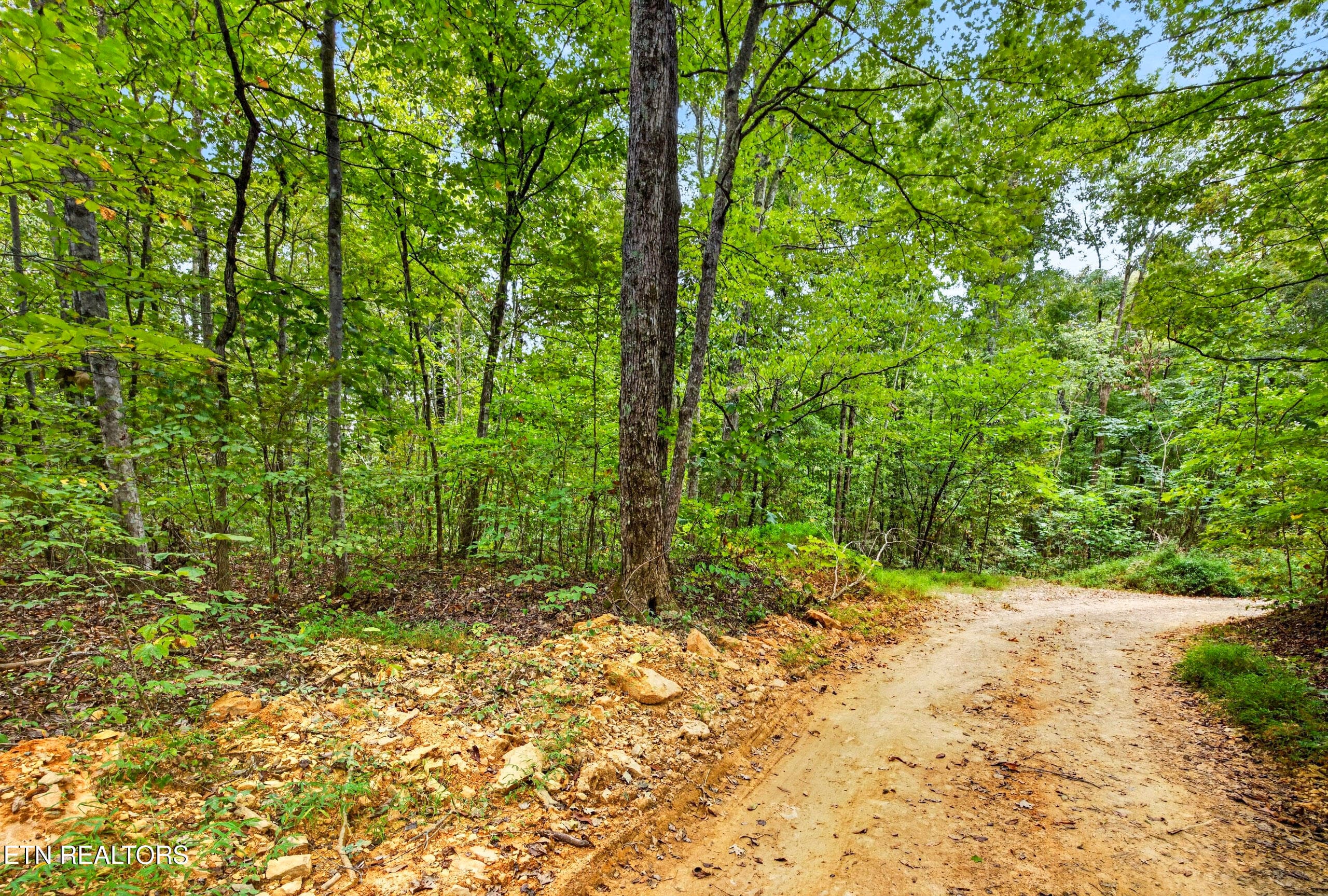 5-8N5A6362 - Lot X & 22 Colepin Lane, Celina, TN 38551